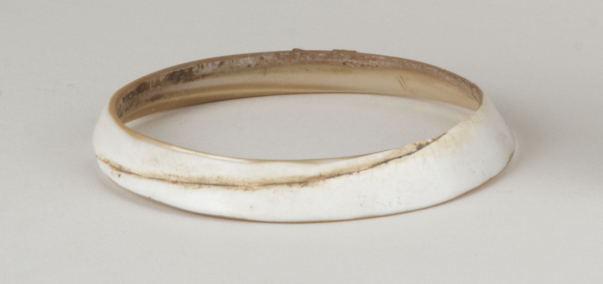 Front view without scale (c) Field Museum of Natural History - CC BY-NC 4.0