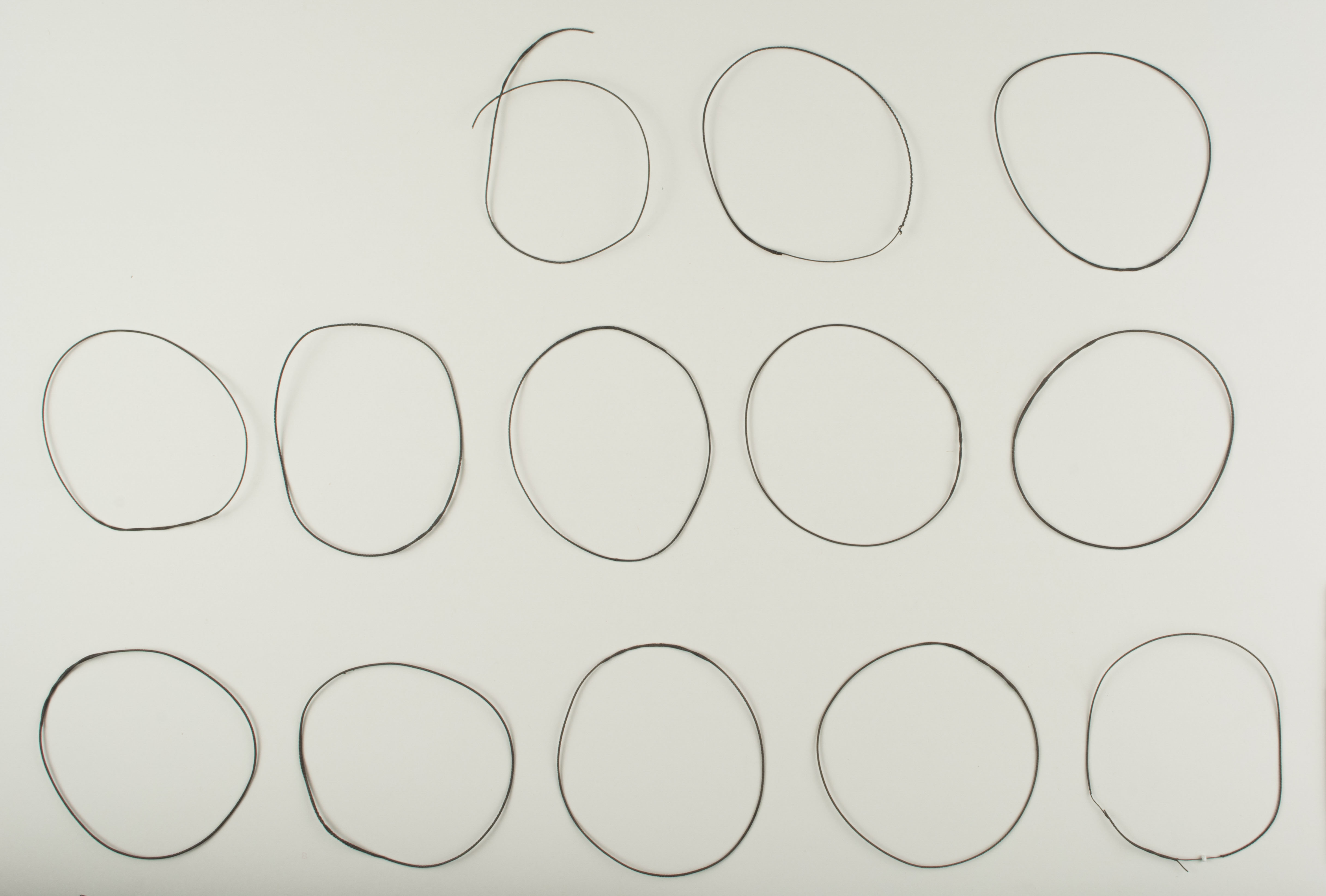 Top view without scale (c) Field Museum of Natural History - CC BY-NC 4.0