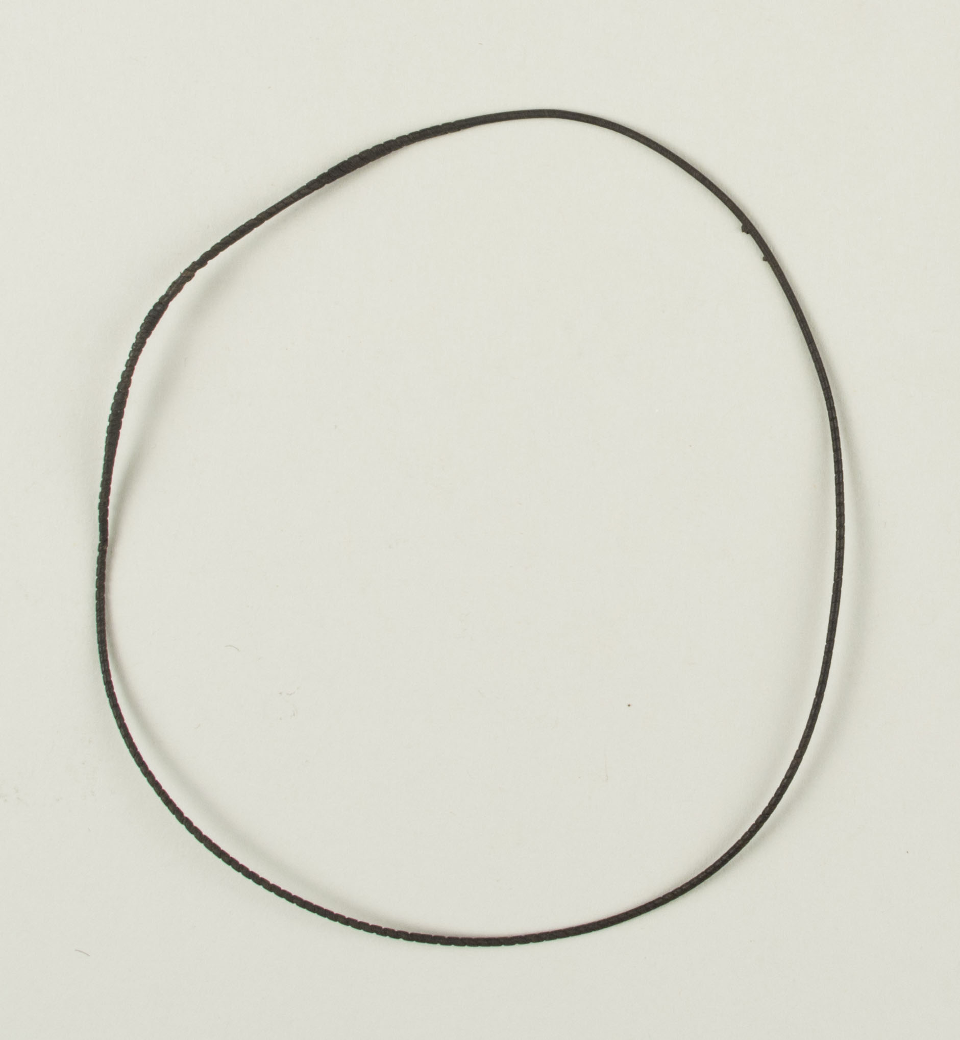 Top view without scale (c) Field Museum of Natural History - CC BY-NC 4.0