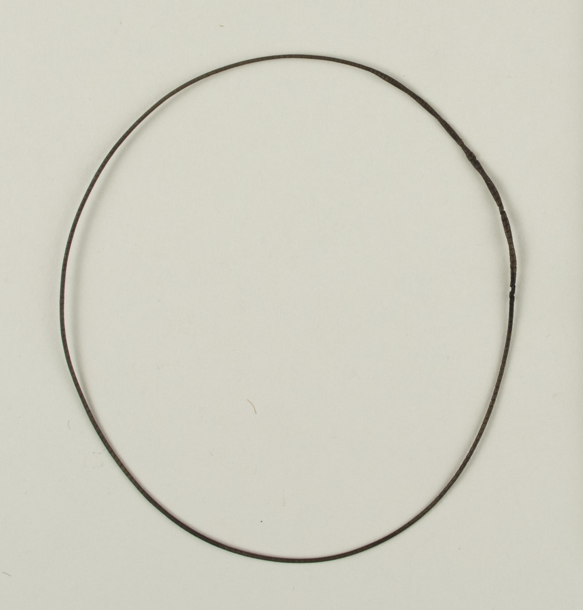 Top view without scale (c) Field Museum of Natural History - CC BY-NC 4.0