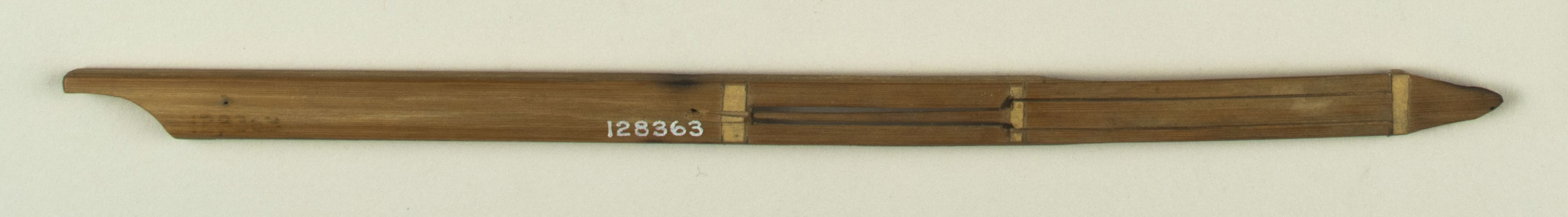 Top view without scale (c) Field Museum of Natural History - CC BY-NC 4.0