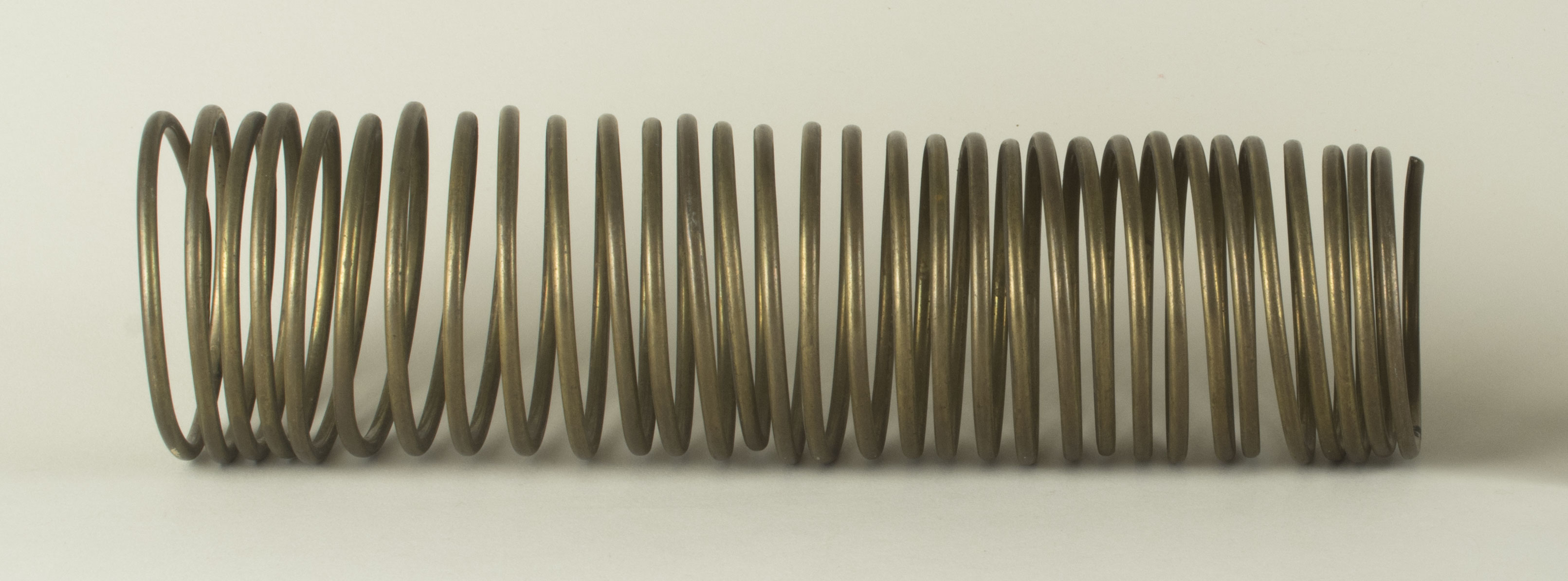 Front view without scale (c) Field Museum of Natural History - CC BY-NC 4.0