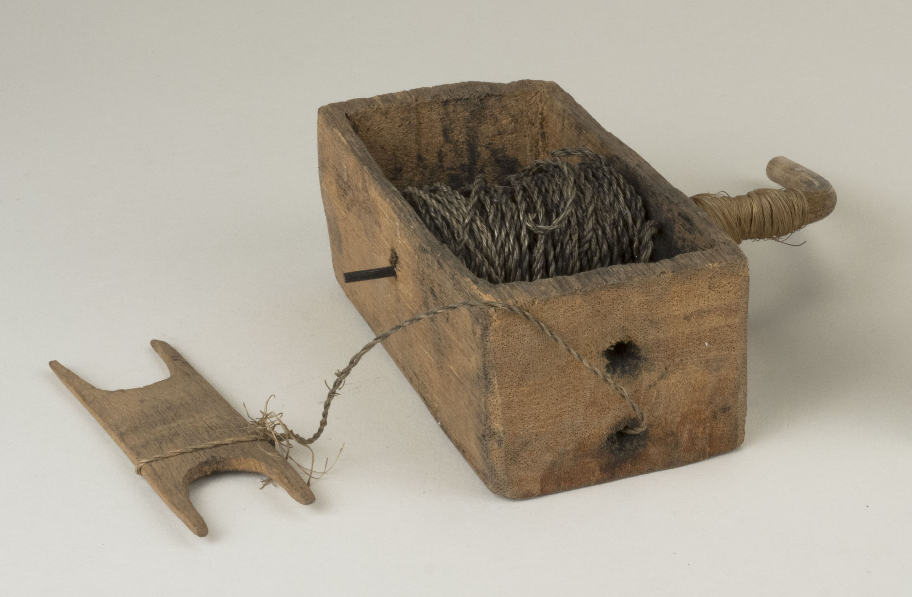 Front view without scale (c) Field Museum of Natural History - CC BY-NC 4.0