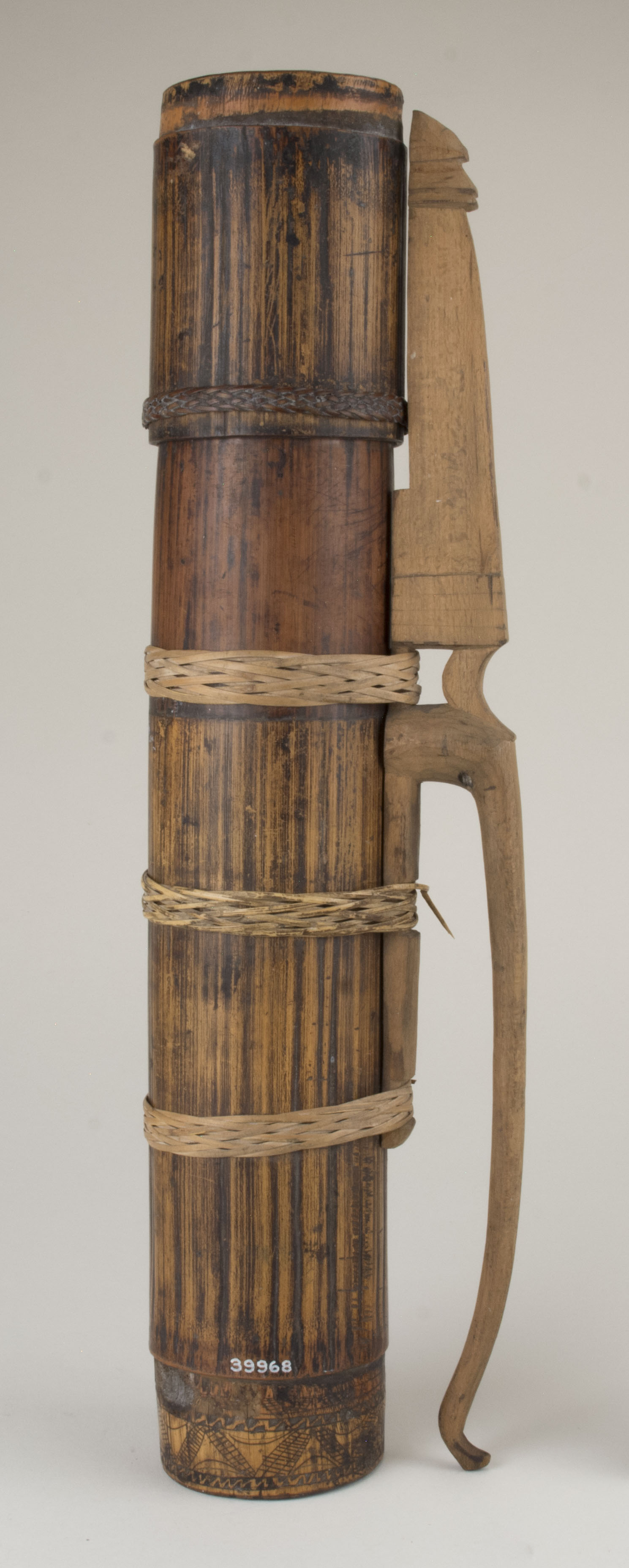 Front view without scale (c) Field Museum of Natural History - CC BY-NC 4.0