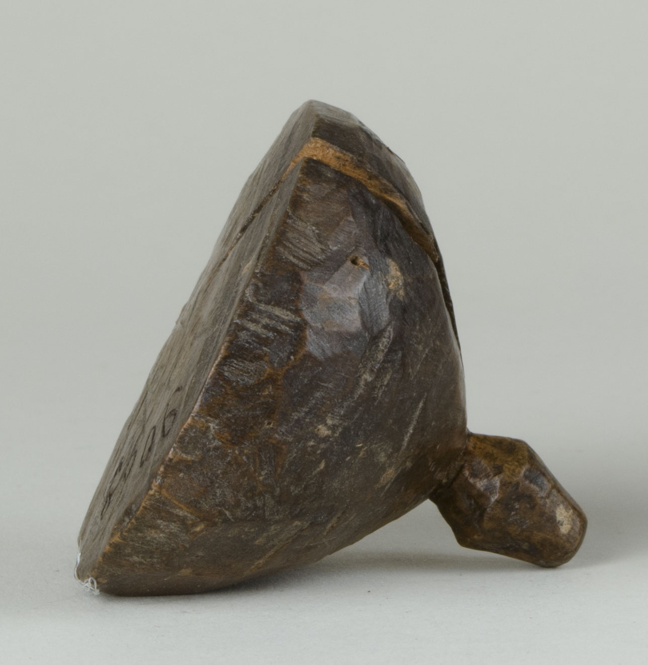 Front view without scale (c) Field Museum of Natural History - CC BY-NC 4.0