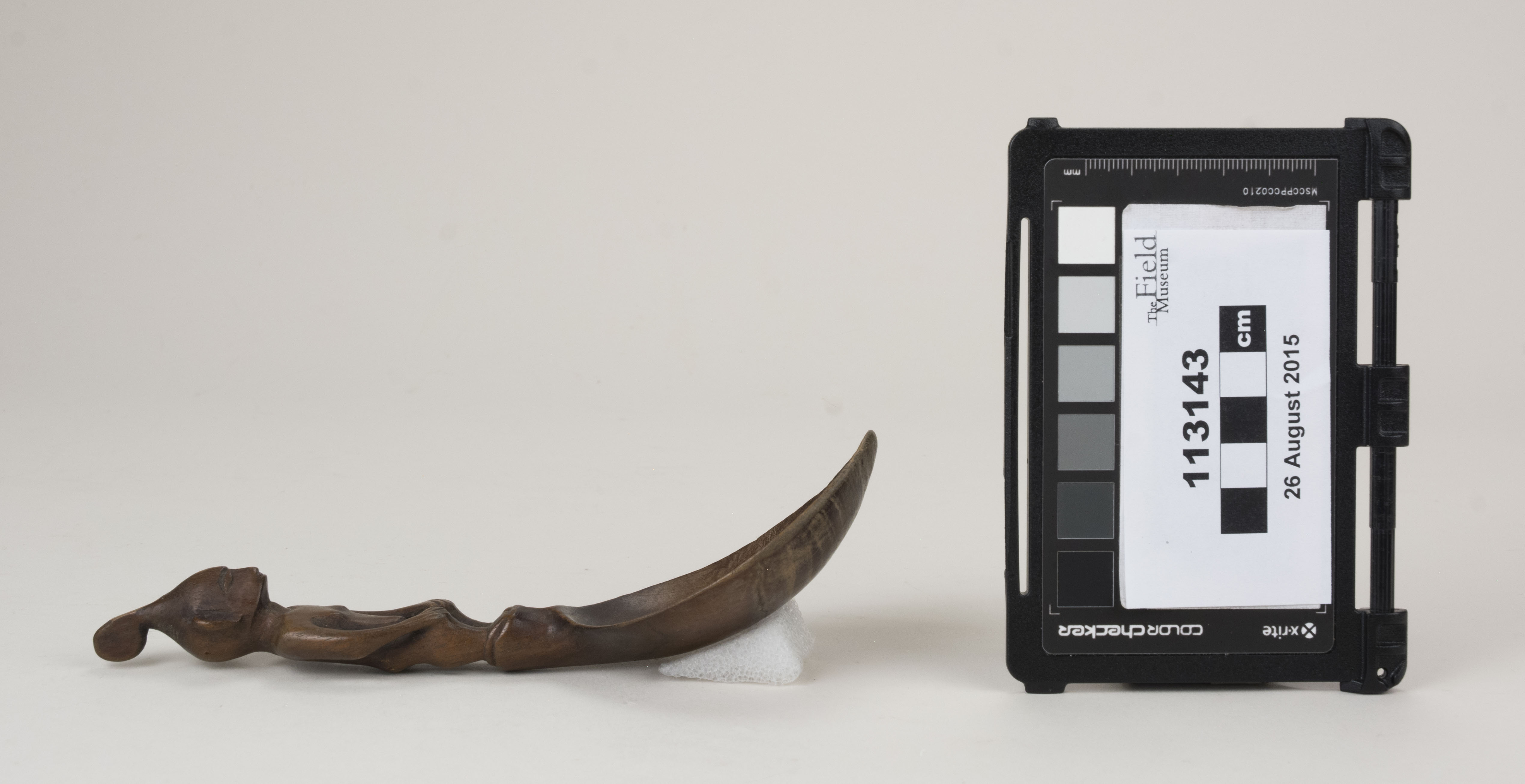 reference image, side view (c) Field Museum of Natural History - CC BY-NC 4.0