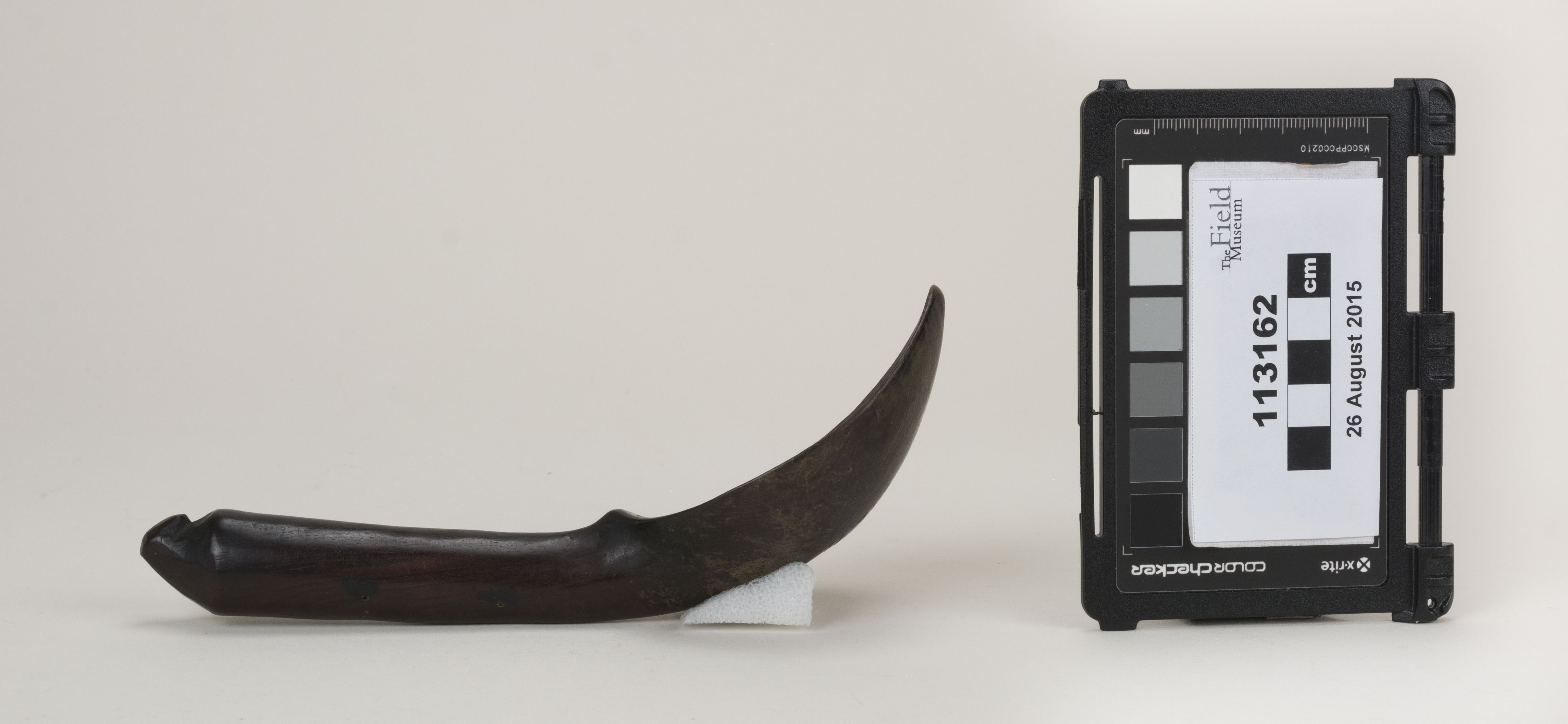 reference image, side view (c) Field Museum of Natural History - CC BY-NC 4.0