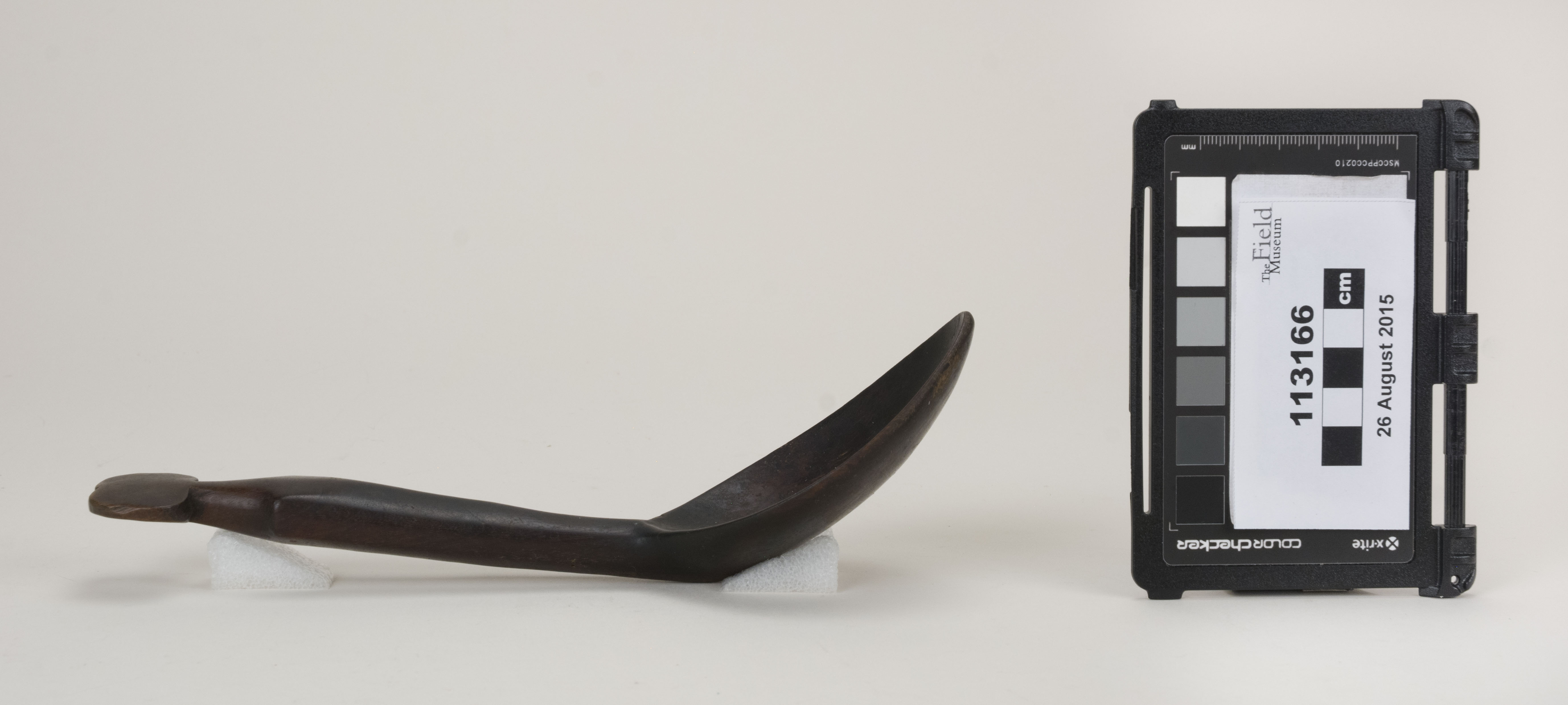 reference image, side view (c) Field Museum of Natural History - CC BY-NC 4.0