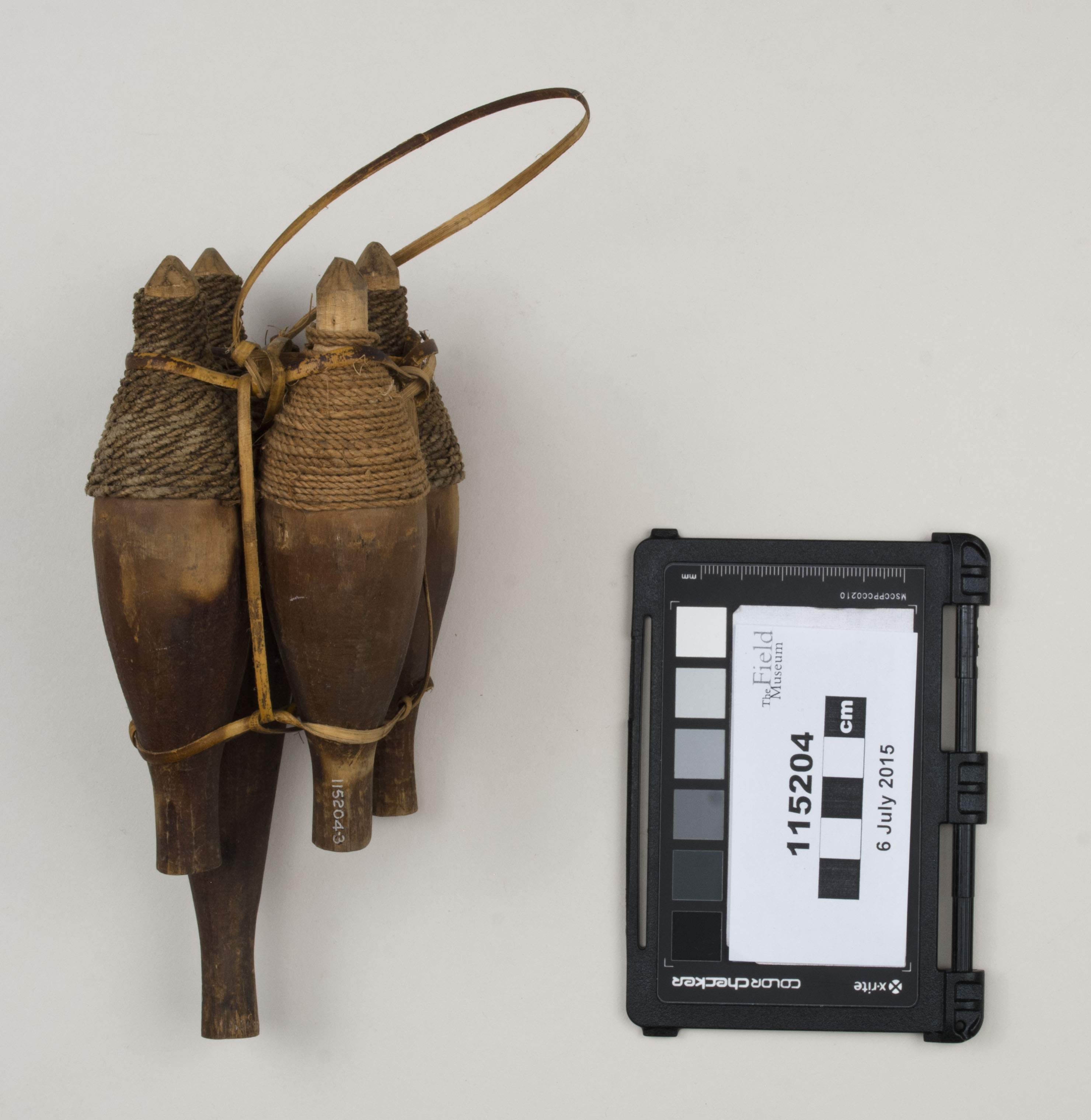 Side view (c) Field Museum of Natural History - CC BY-NC 4.0