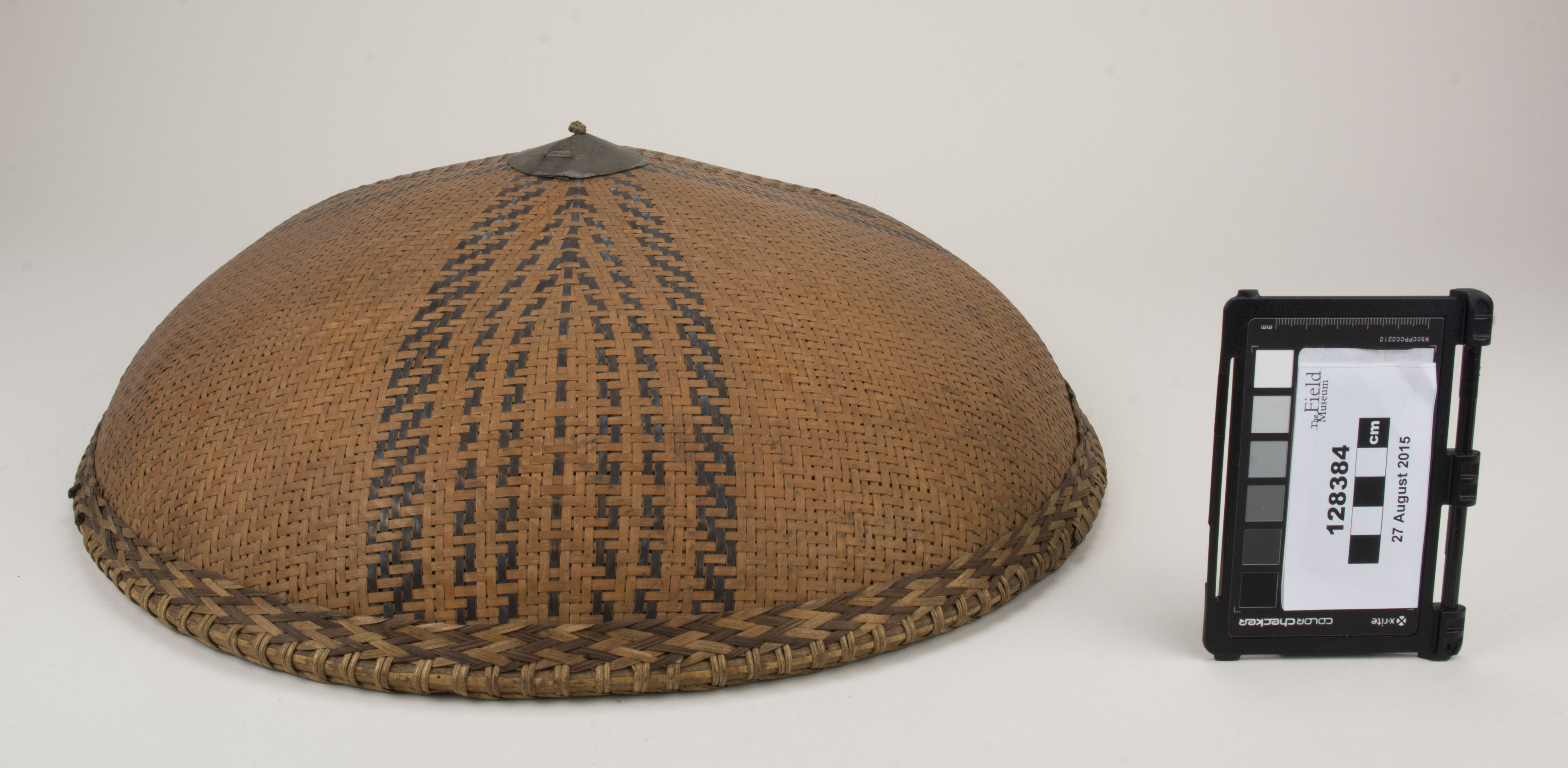 Front view (c) Field Museum of Natural History - CC BY-NC 4.0