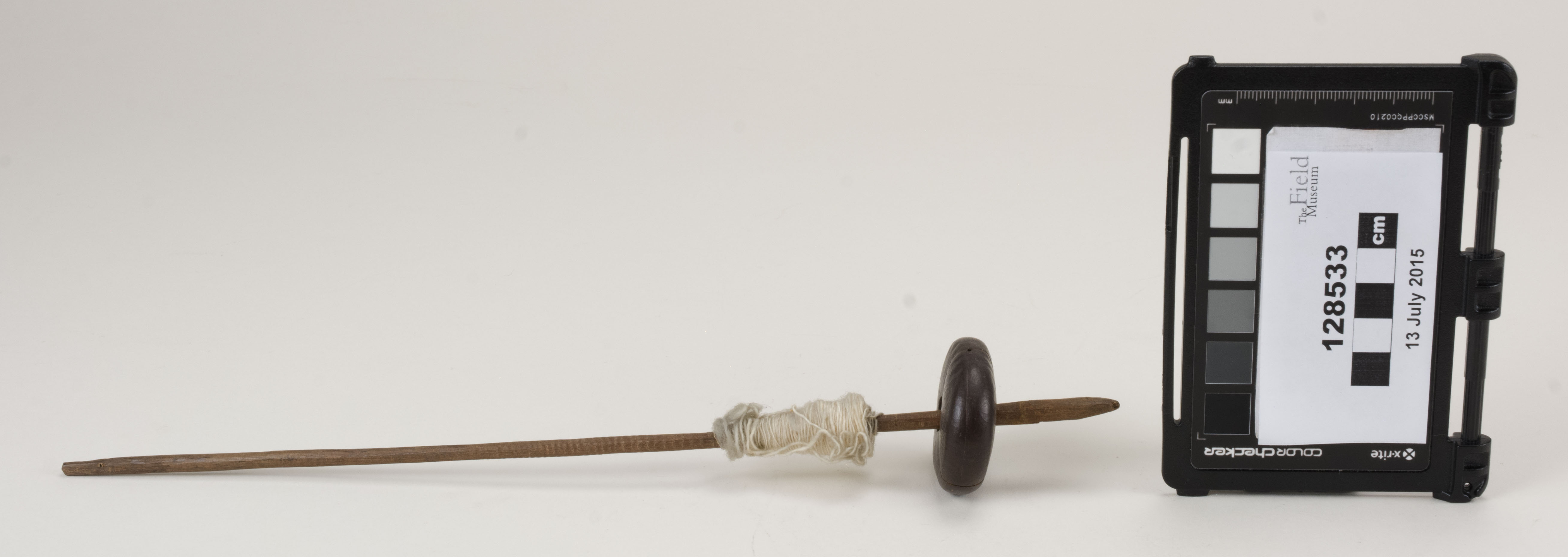 Side view (c) Field Museum of Natural History - CC BY-NC 4.0