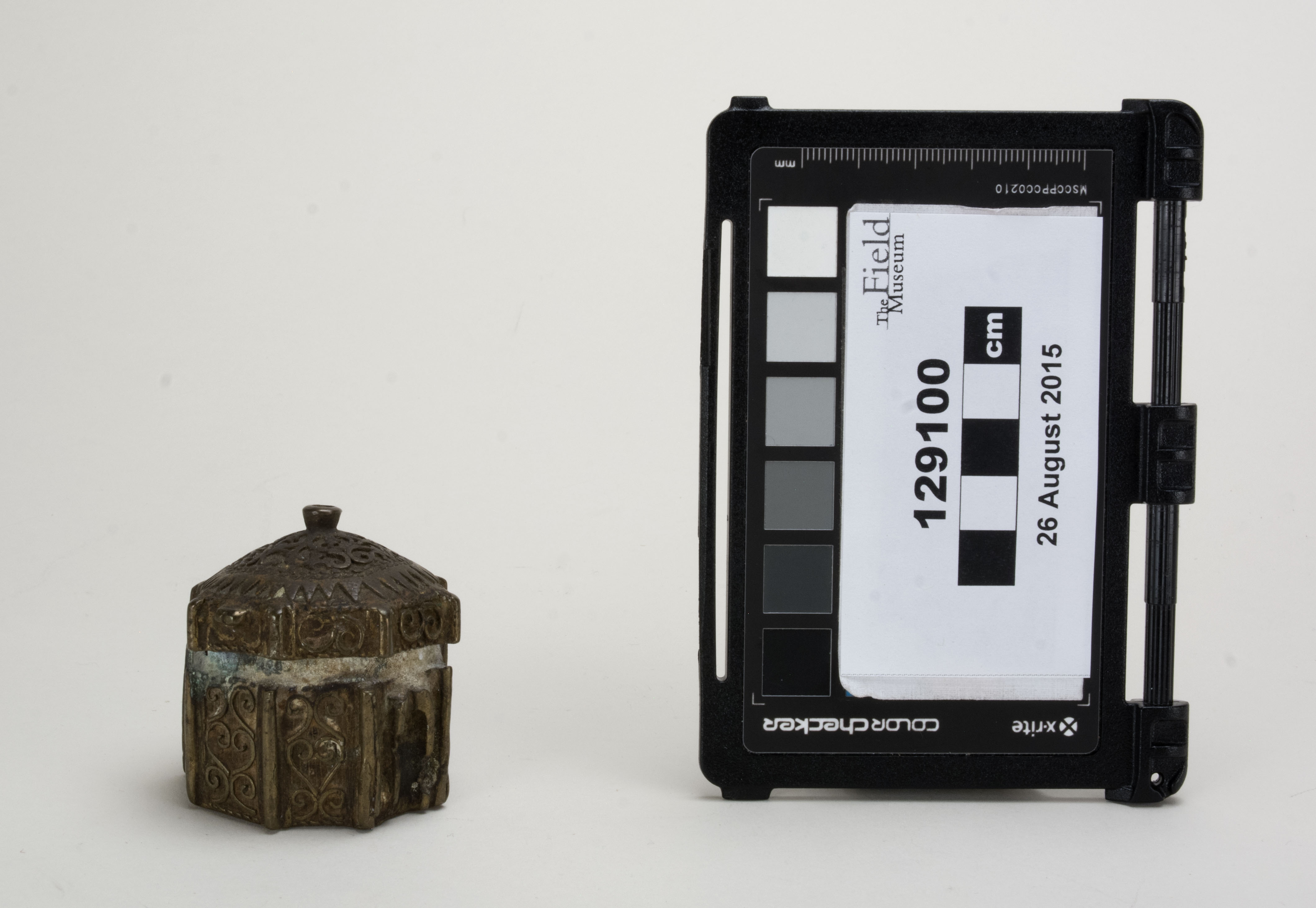 Front view (c) Field Museum of Natural History - CC BY-NC 4.0