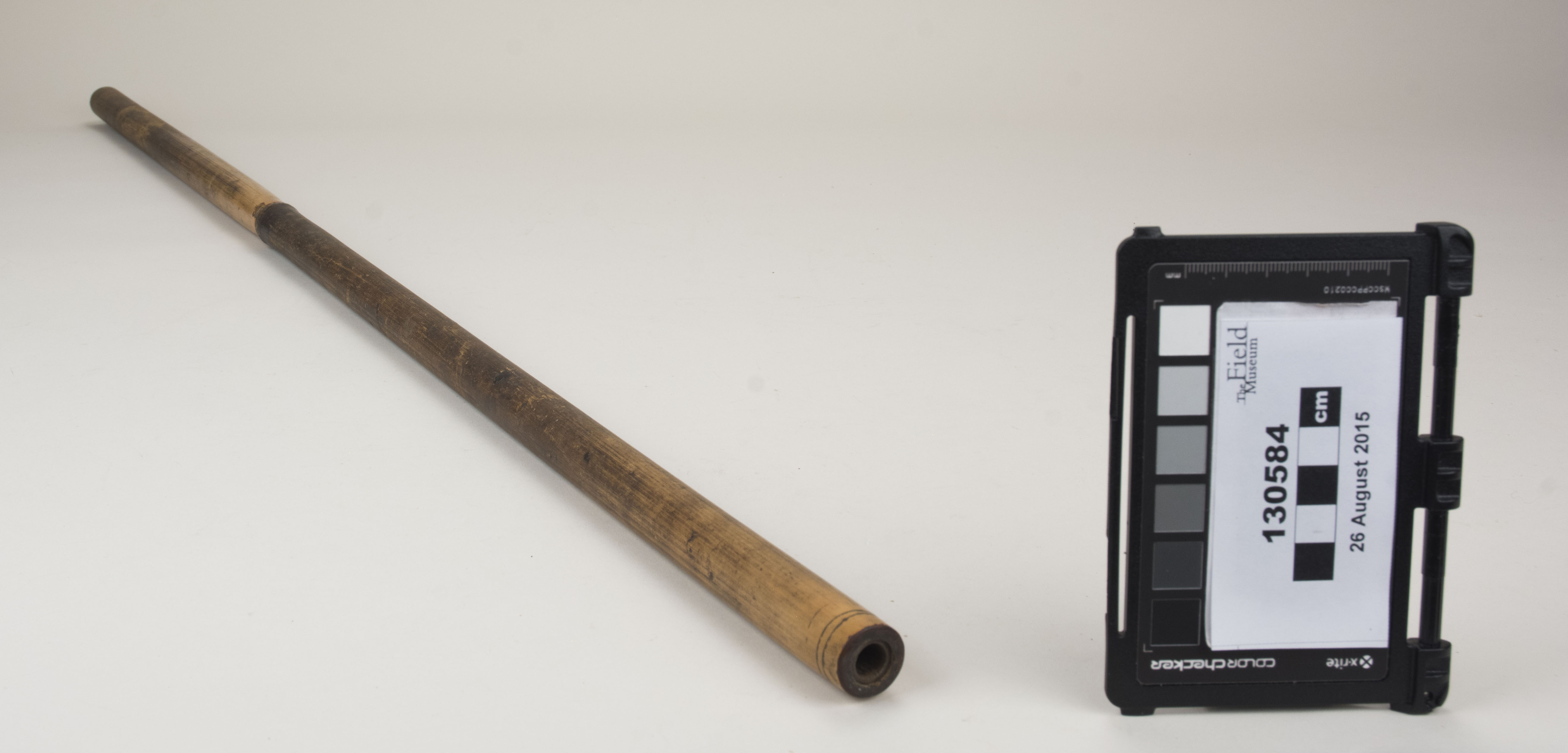 Side view (c) Field Museum of Natural History - CC BY-NC 4.0