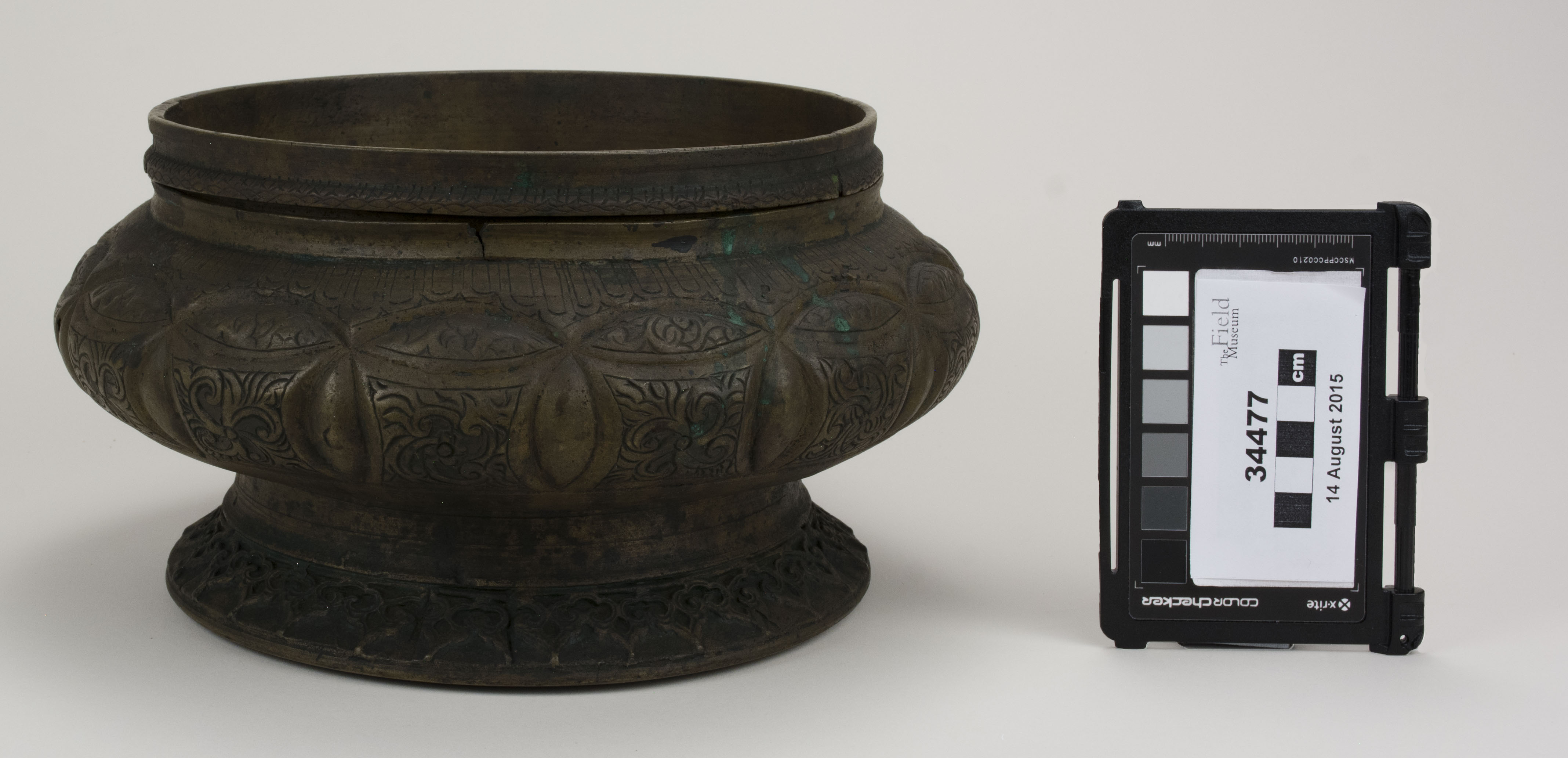 Front view (c) Field Museum of Natural History - CC BY-NC 4.0