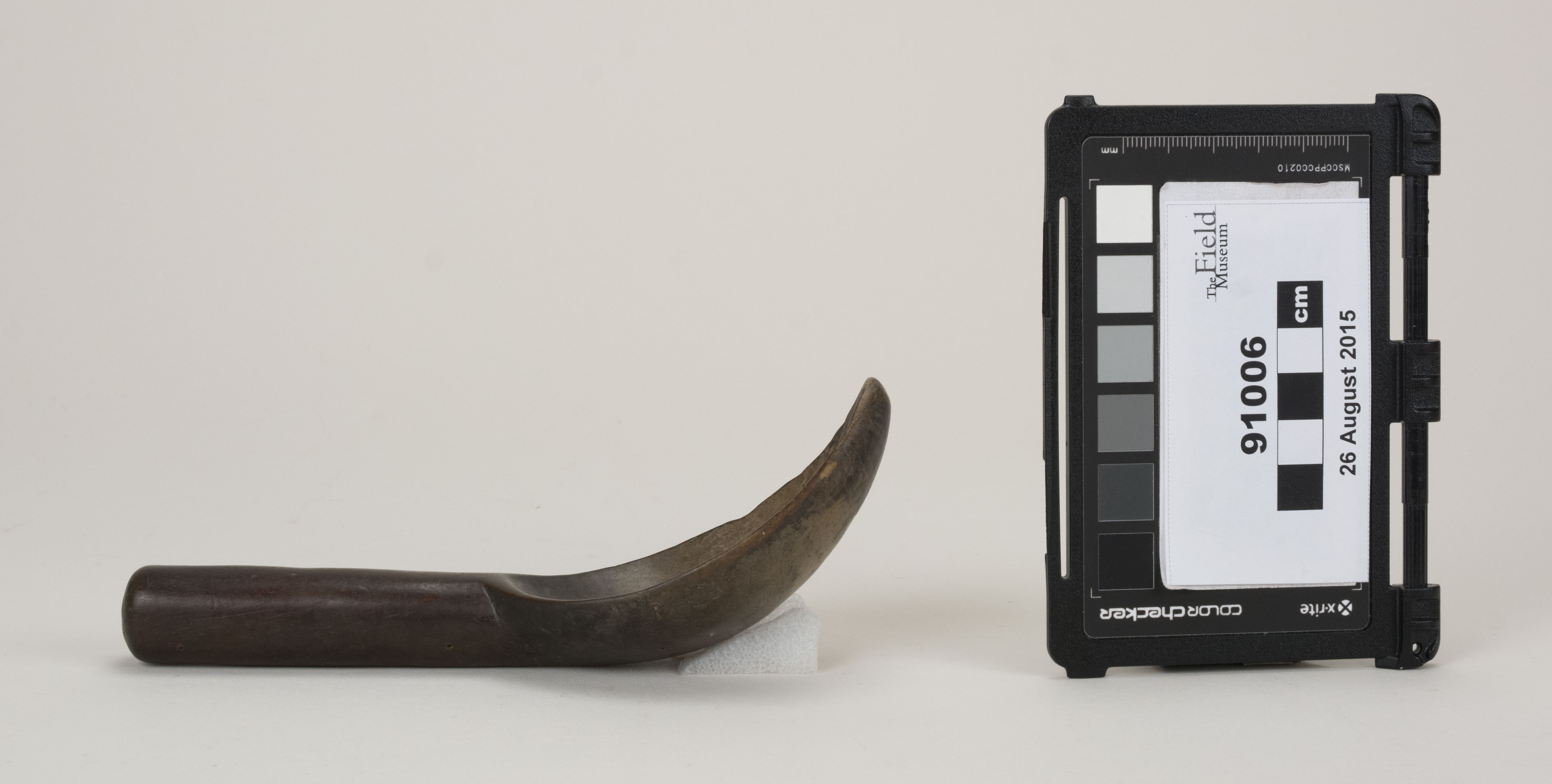 Side view (c) Field Museum of Natural History - CC BY-NC 4.0