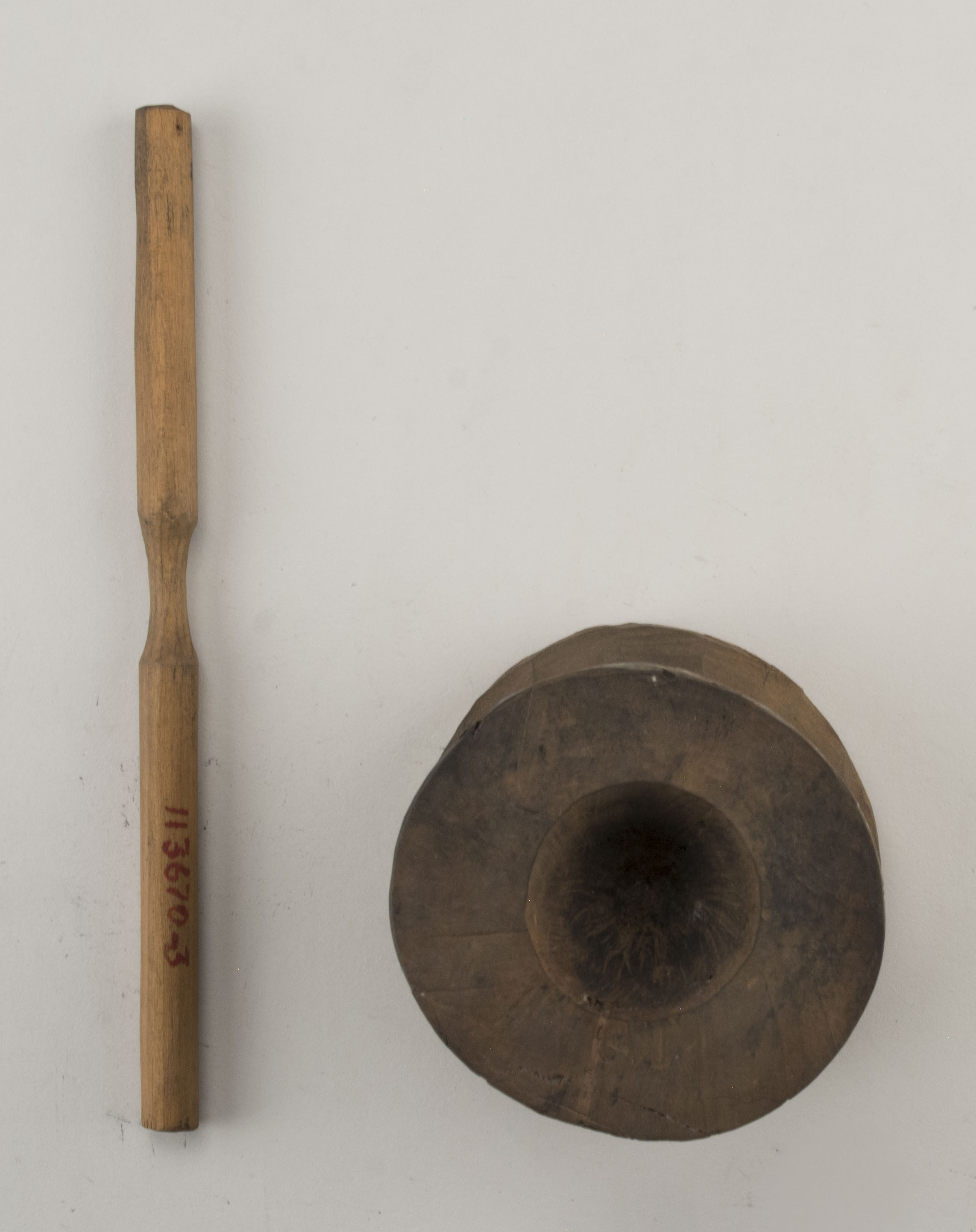 Top view without scale (c) Field Museum of Natural History - CC BY-NC 4.0