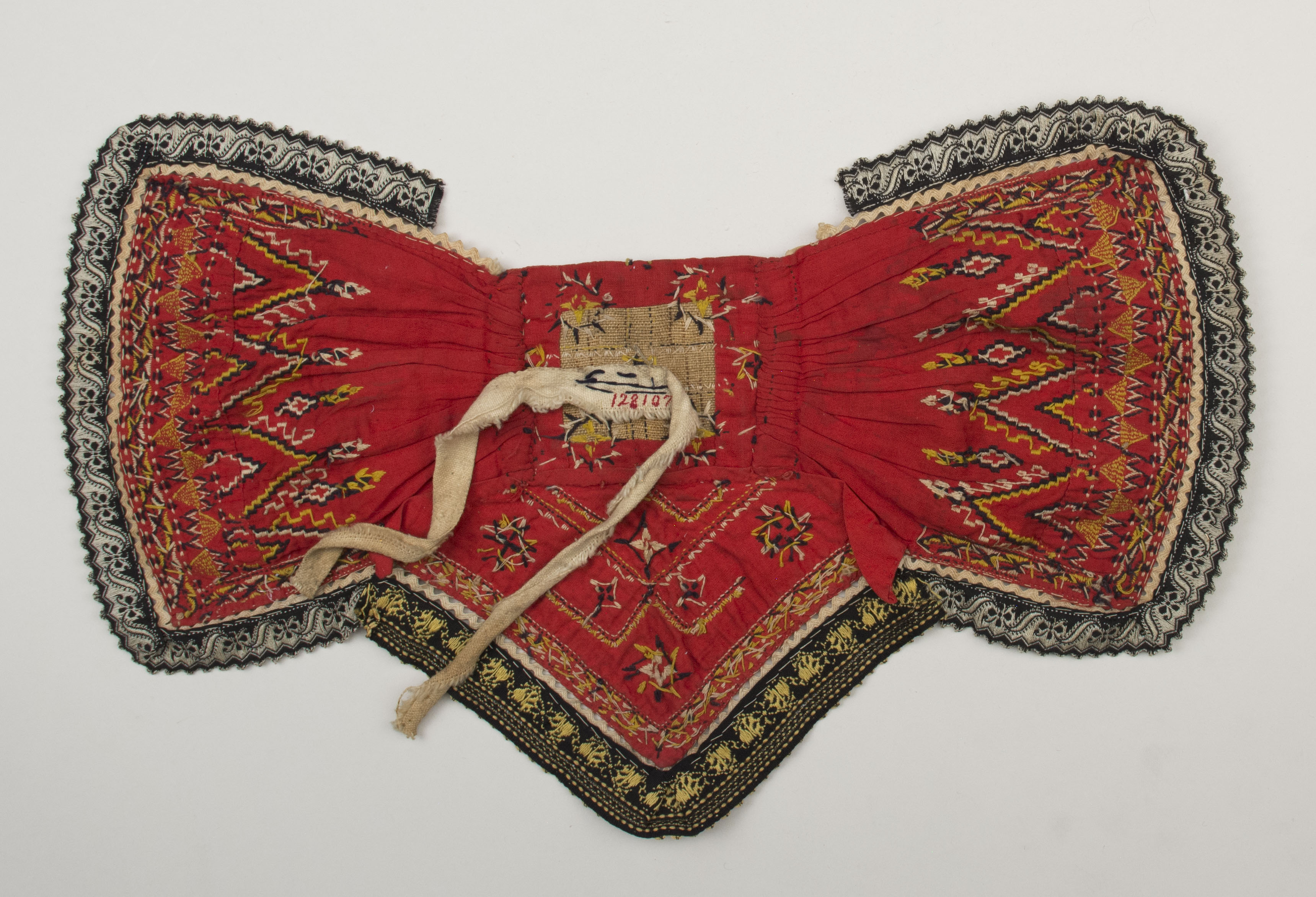 Top view without scale (c) Field Museum of Natural History - CC BY-NC 4.0