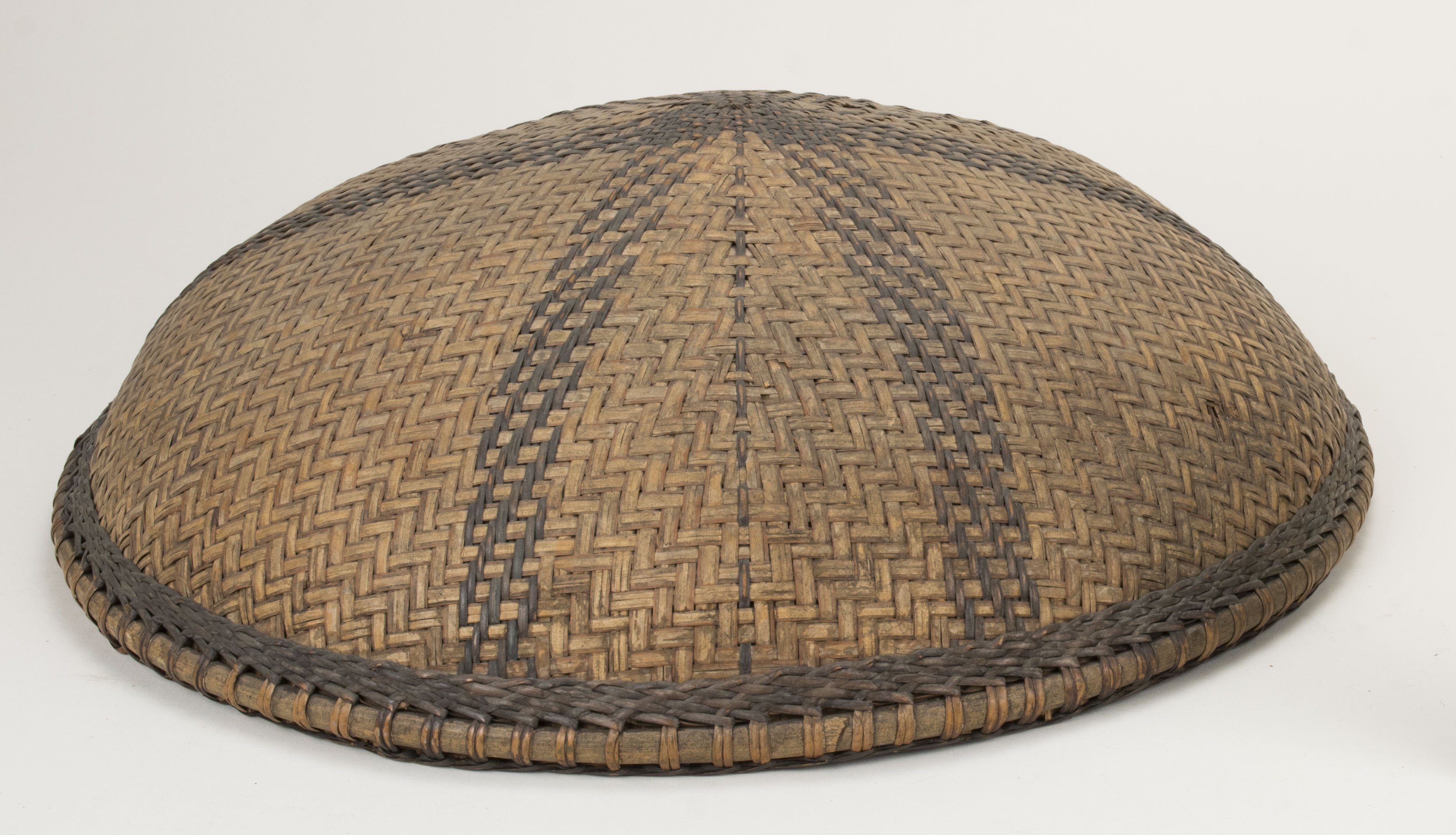 Front view without scale (c) Field Museum of Natural History - CC BY-NC 4.0