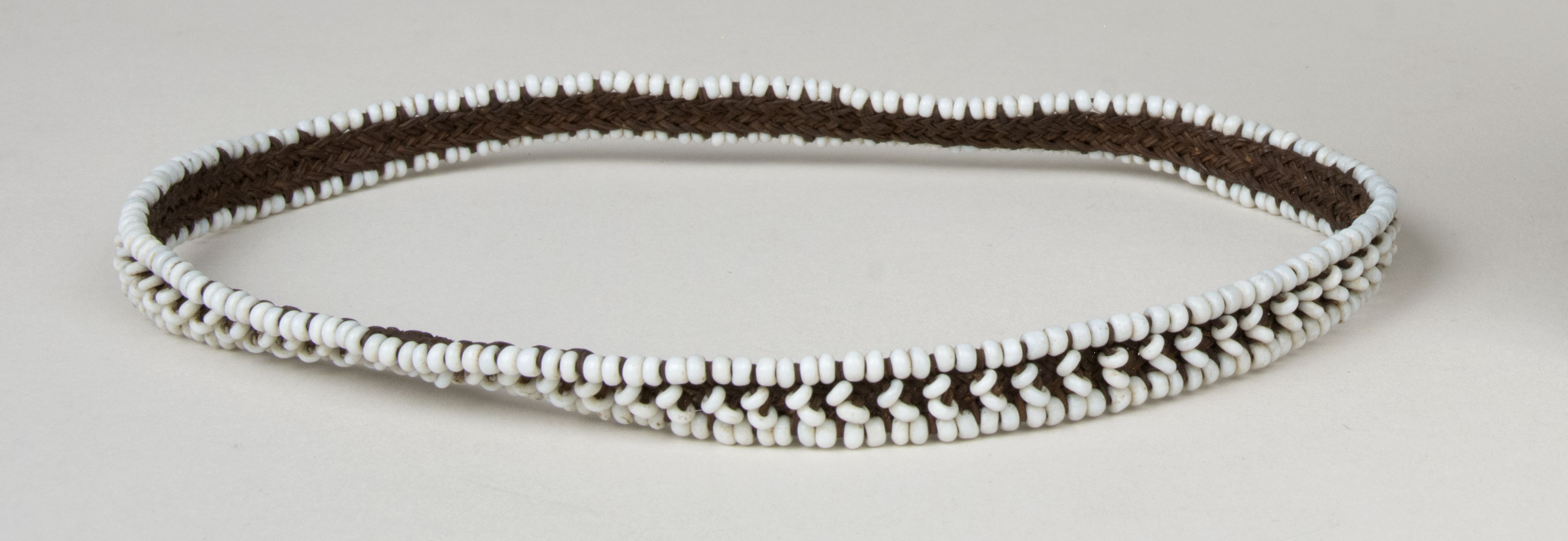 Front view without scale (c) Field Museum of Natural History - CC BY-NC 4.0