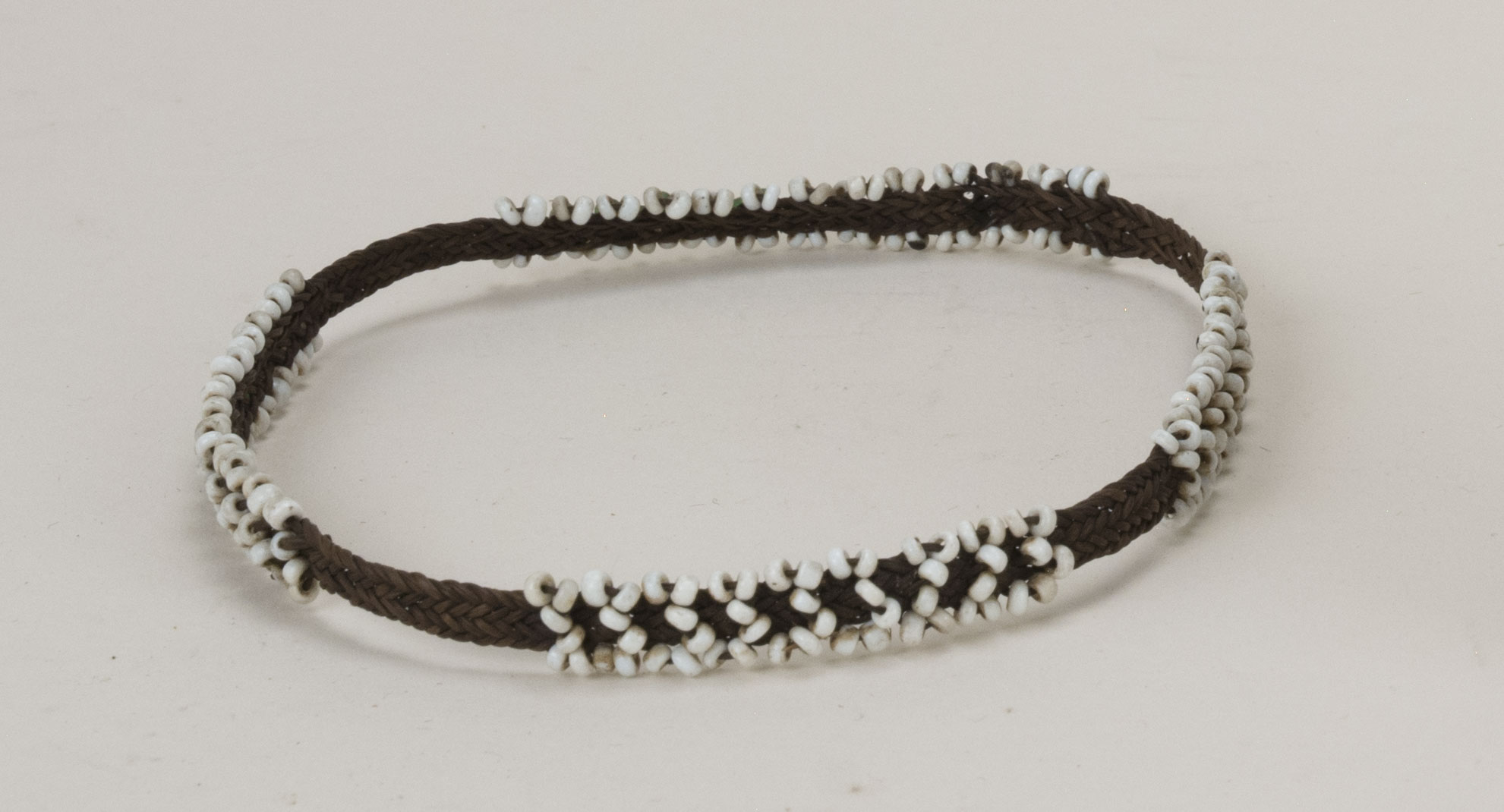 Front view without scale (c) Field Museum of Natural History - CC BY-NC 4.0