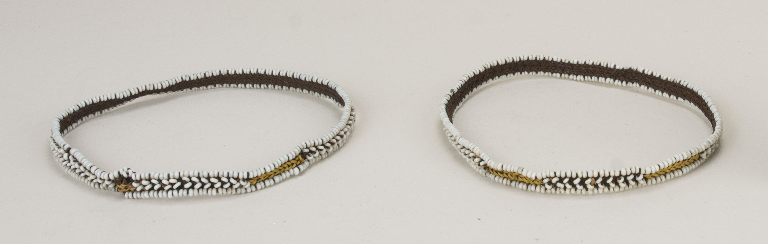 Front view without scale (c) Field Museum of Natural History - CC BY-NC 4.0