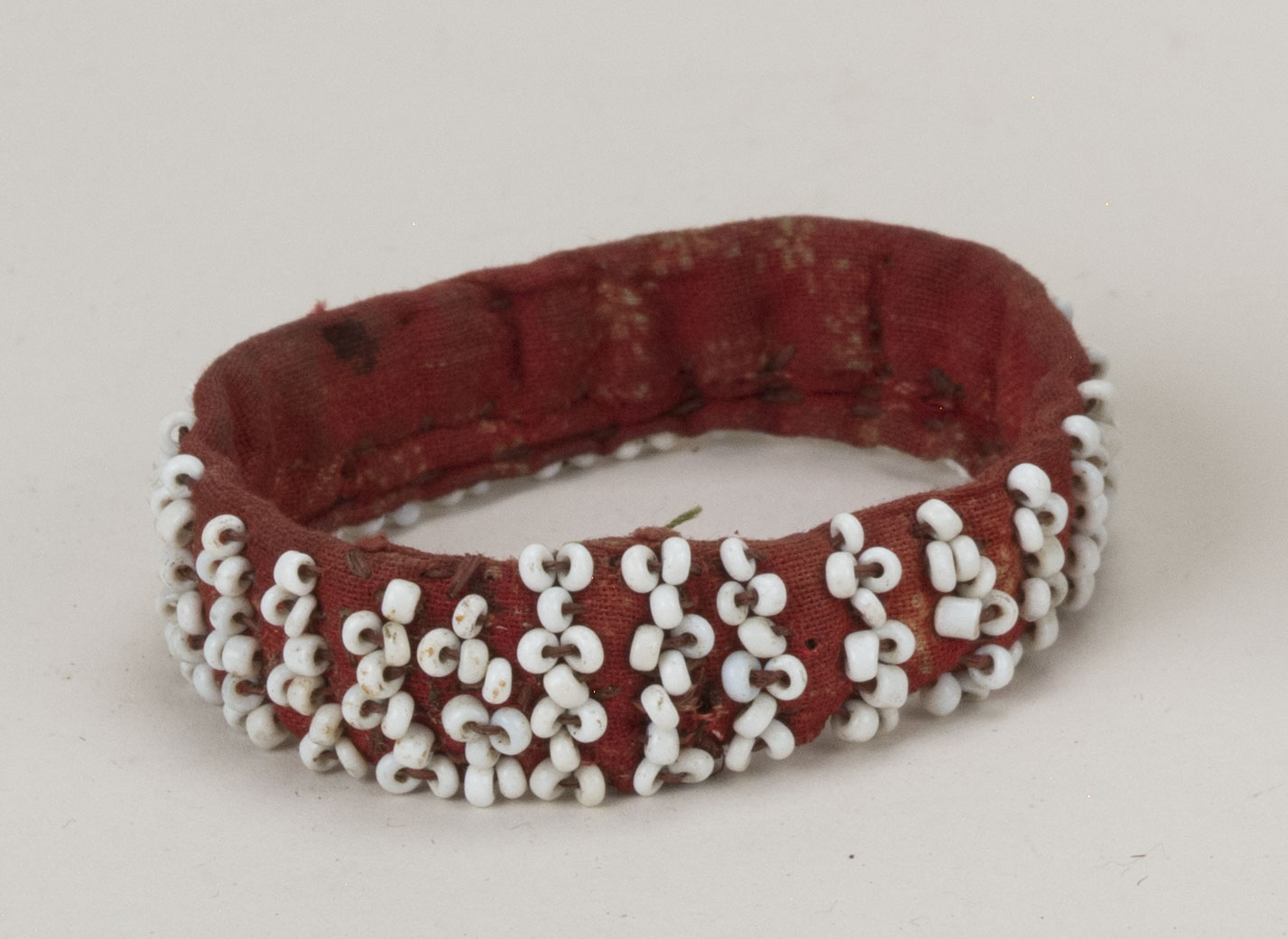 Front view without scale (c) Field Museum of Natural History - CC BY-NC 4.0