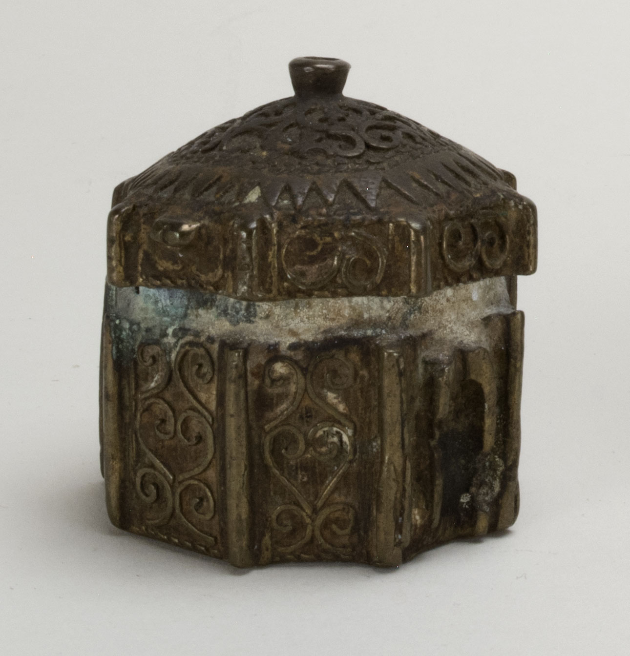 Front view without scale (c) Field Museum of Natural History - CC BY-NC 4.0