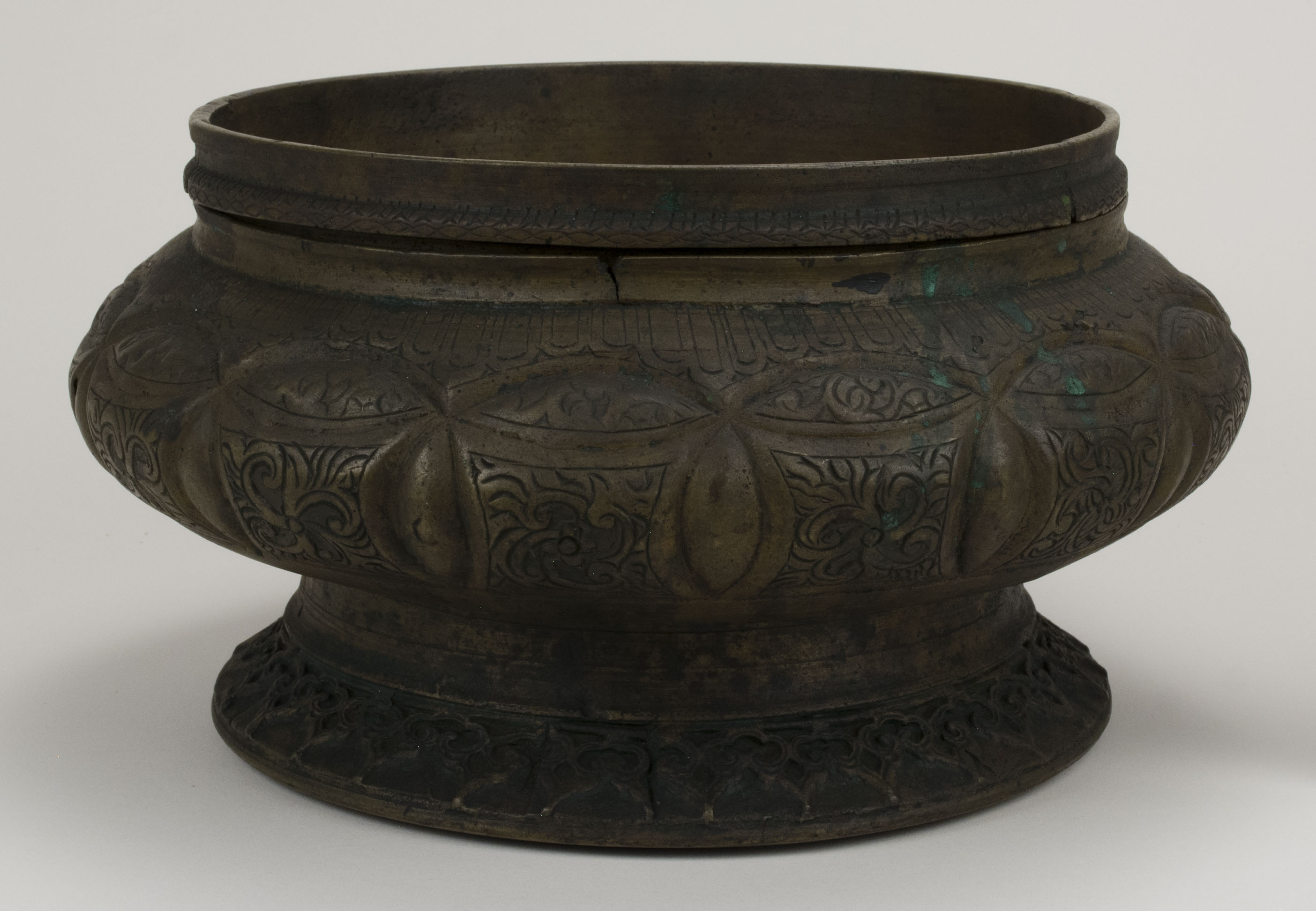 Front view without scale (c) Field Museum of Natural History - CC BY-NC 4.0