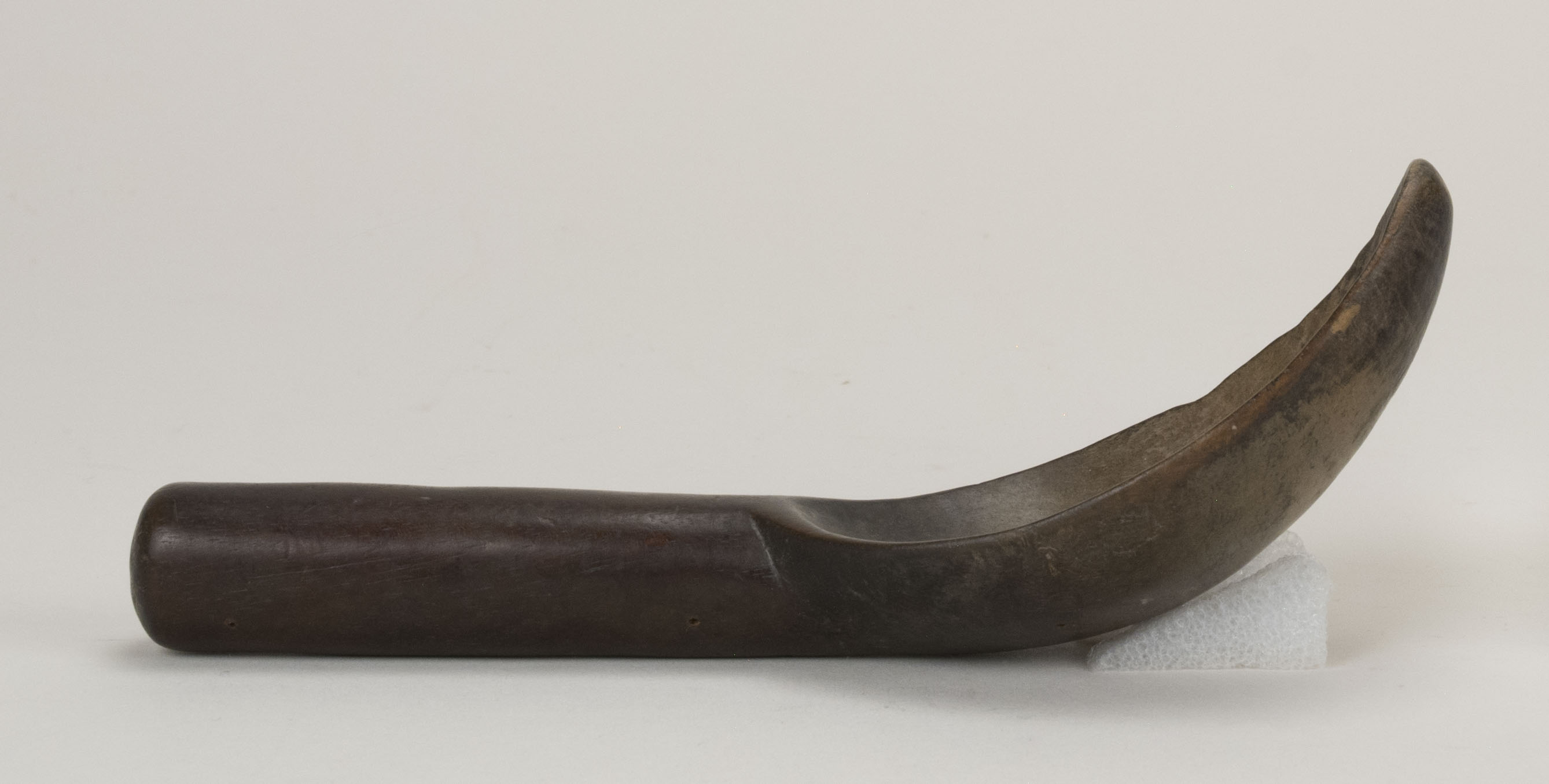 Side view without scale (c) Field Museum of Natural History - CC BY-NC 4.0