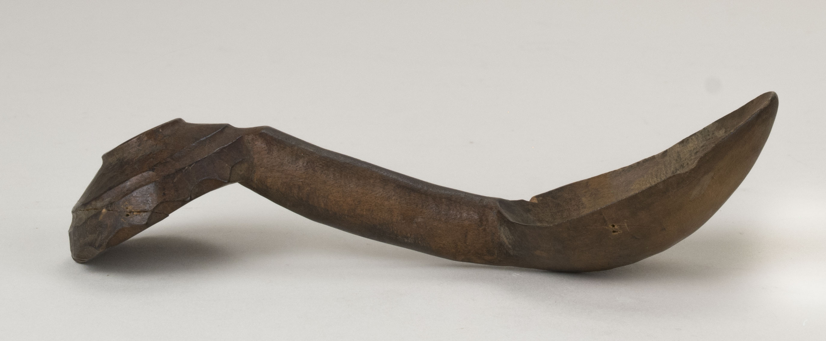 Side view without scale (c) Field Museum of Natural History - CC BY-NC 4.0