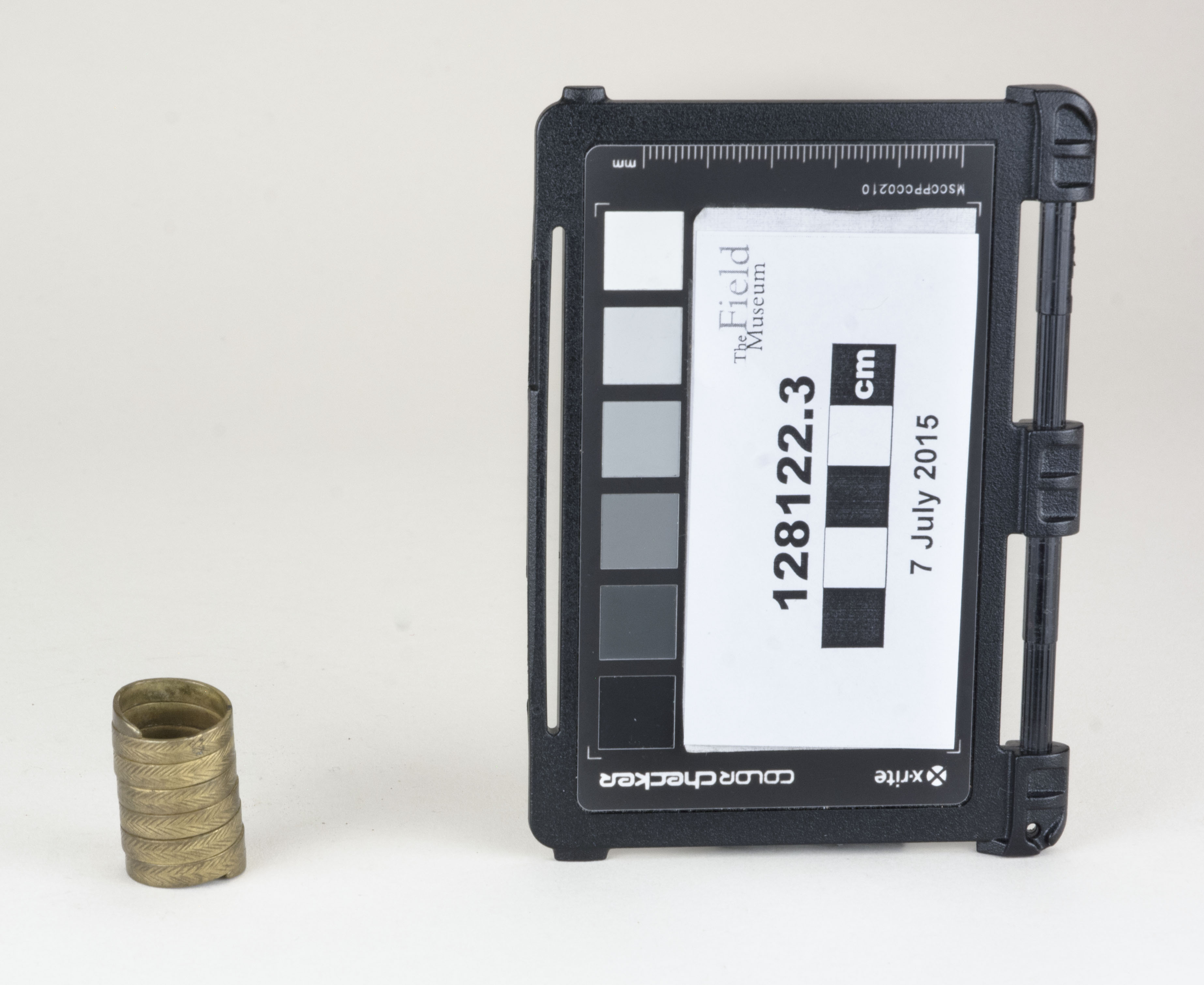 Front view (c) Field Museum of Natural History - CC BY-NC 4.0