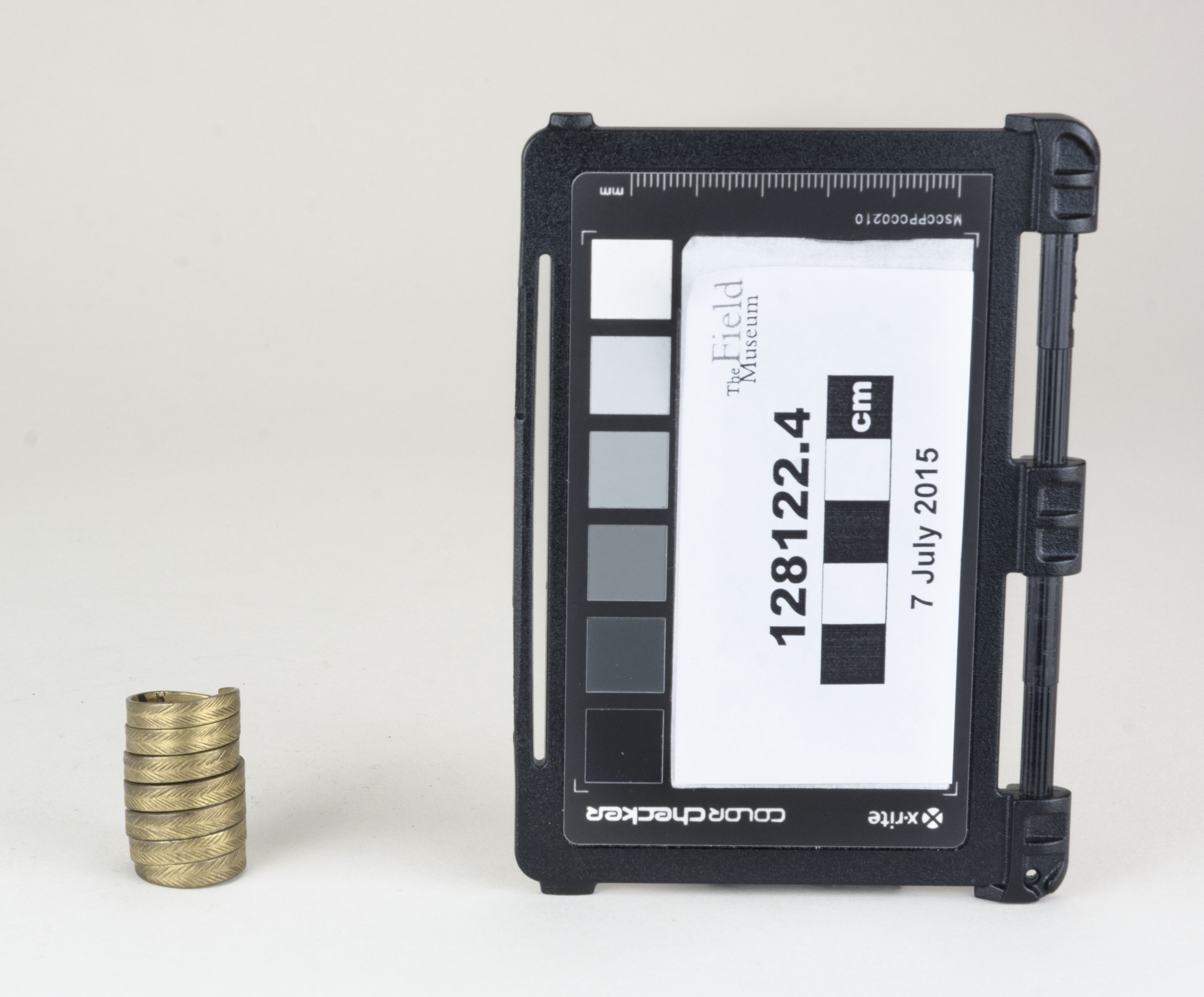 Front view (c) Field Museum of Natural History - CC BY-NC 4.0