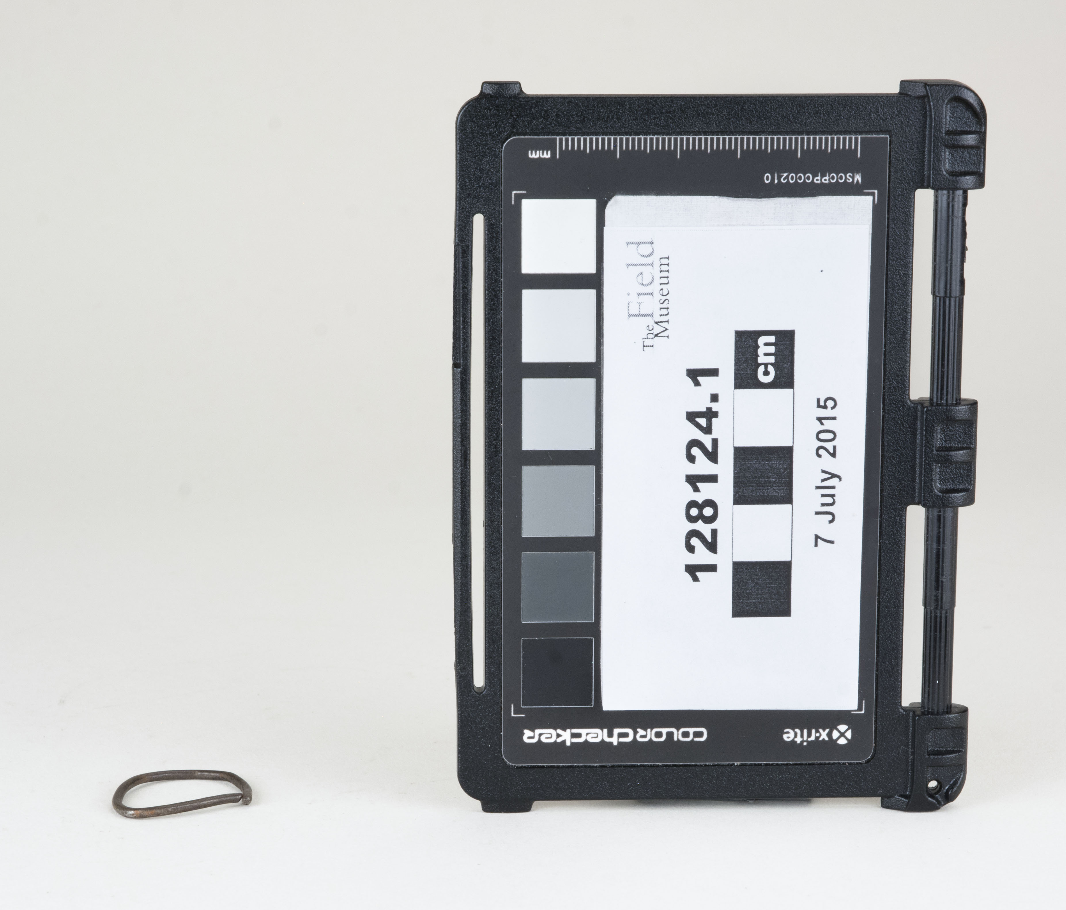 Front view (c) Field Museum of Natural History - CC BY-NC 4.0