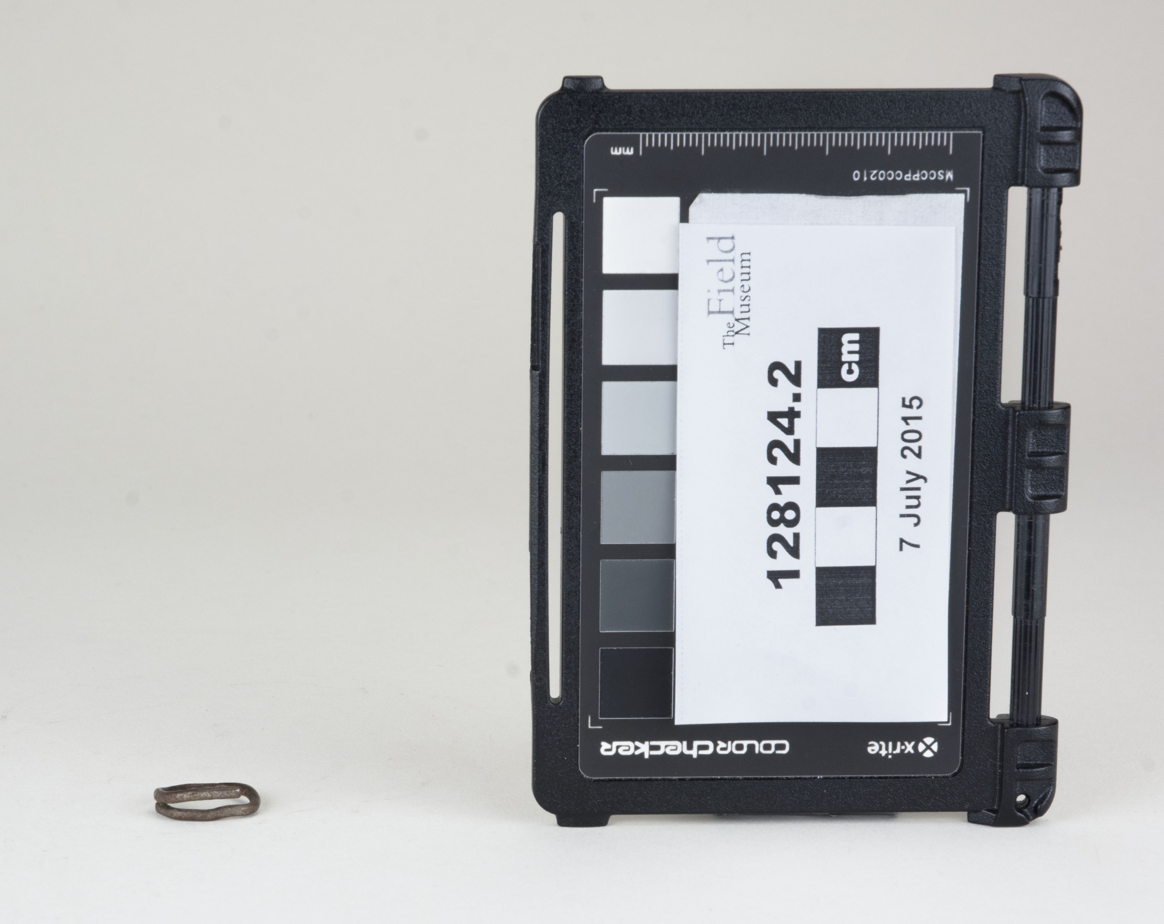 Front view (c) Field Museum of Natural History - CC BY-NC 4.0