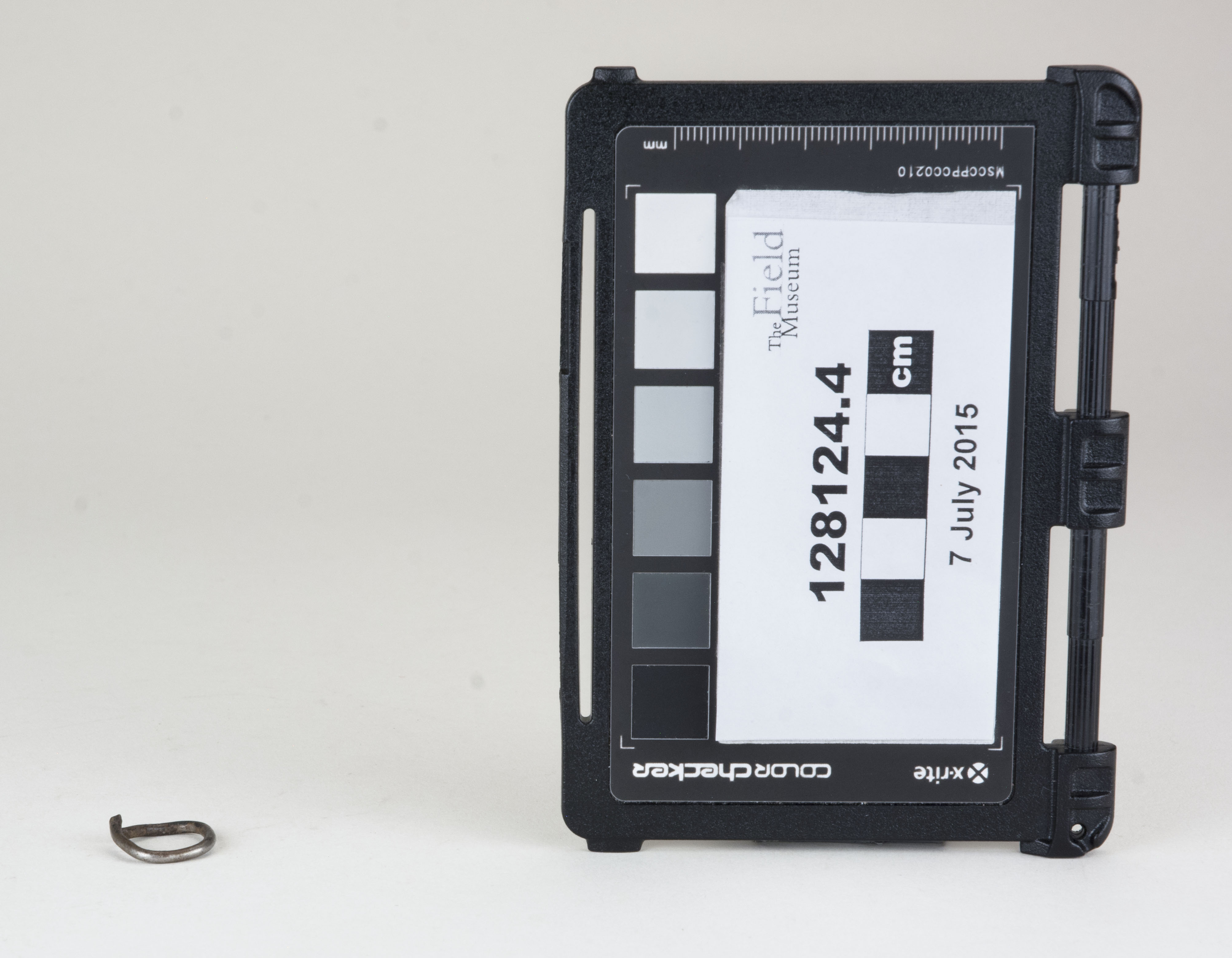 Front view (c) Field Museum of Natural History - CC BY-NC 4.0