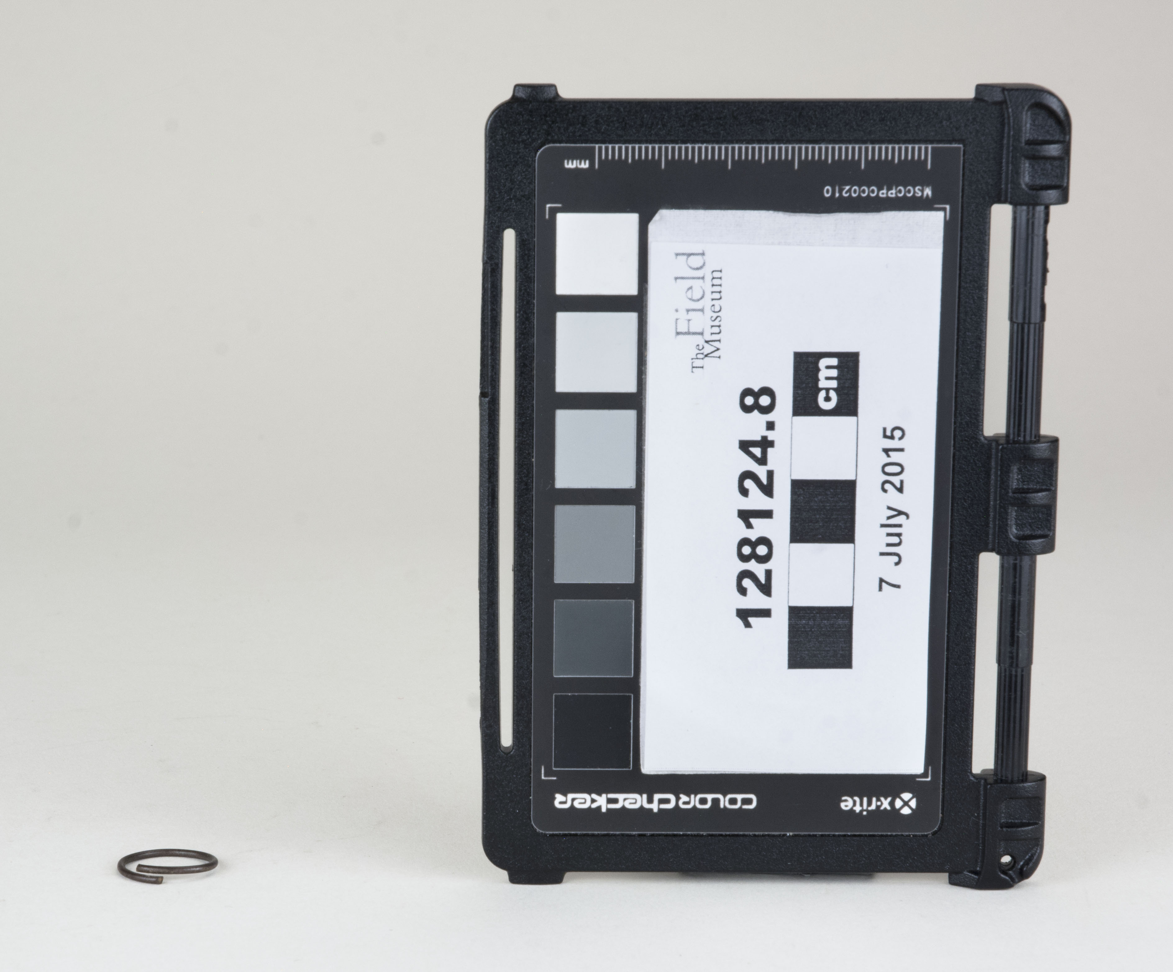 Front view (c) Field Museum of Natural History - CC BY-NC 4.0