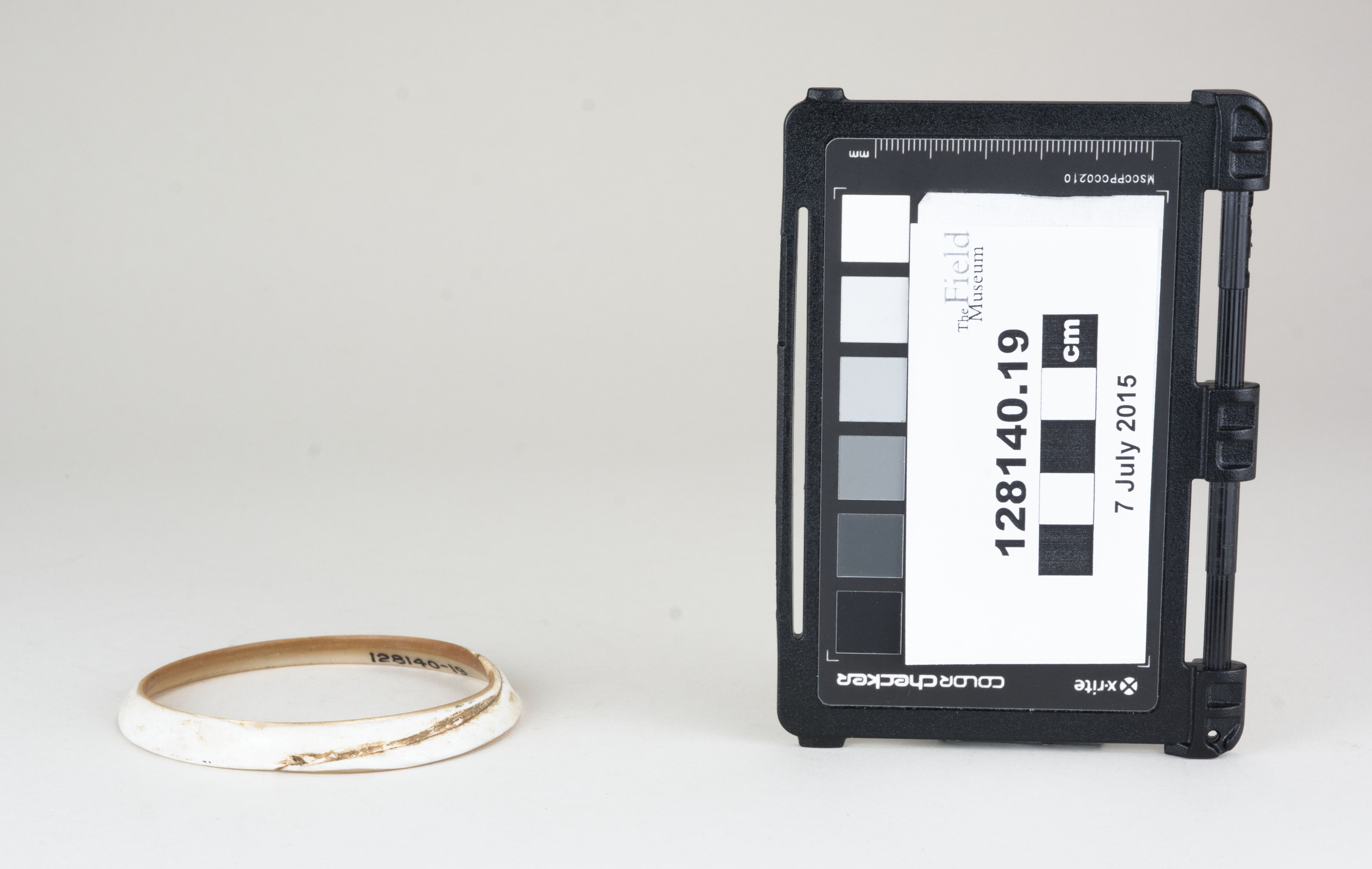 Front view (c) Field Museum of Natural History - CC BY-NC 4.0