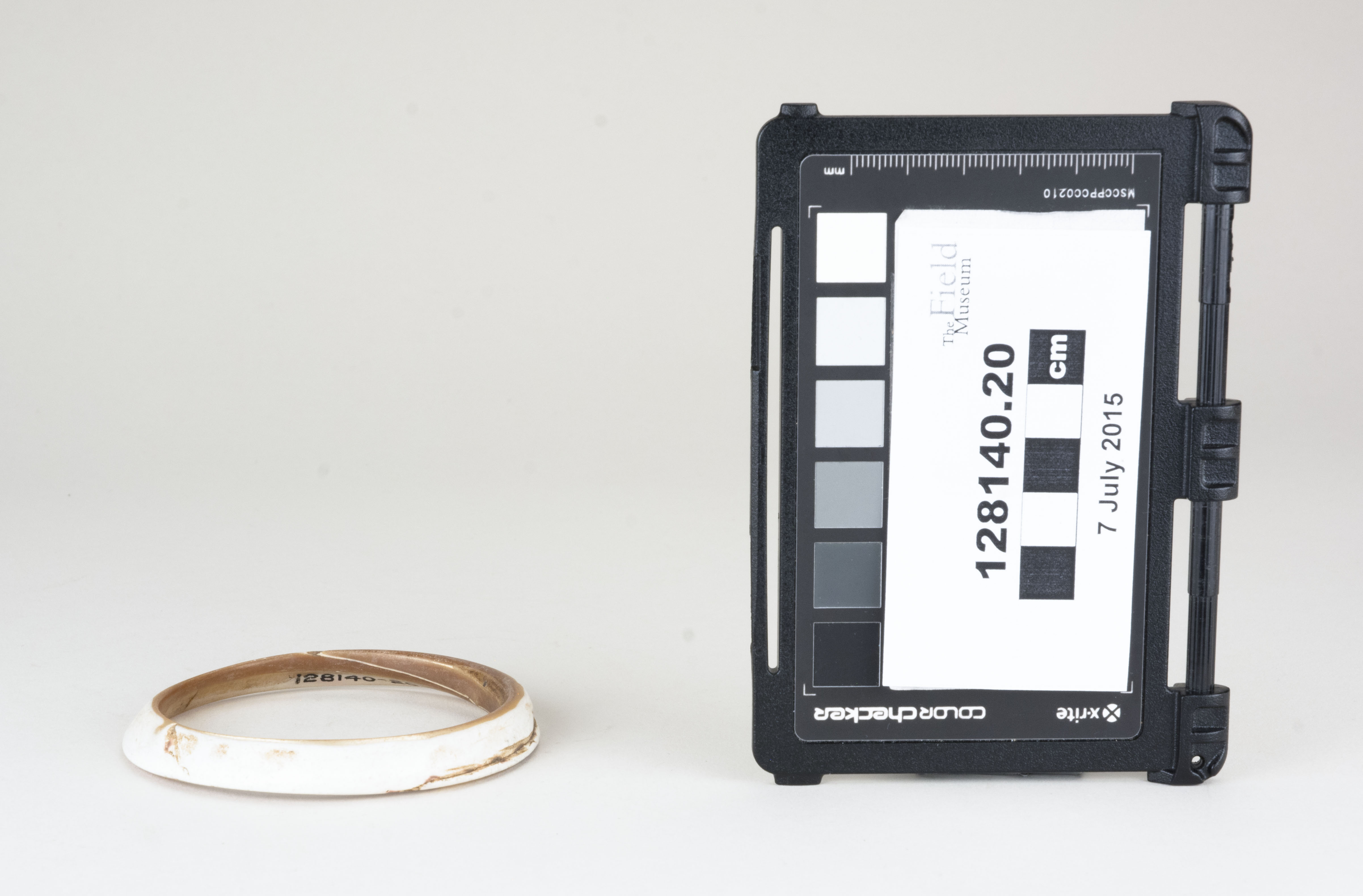 Front view (c) Field Museum of Natural History - CC BY-NC 4.0