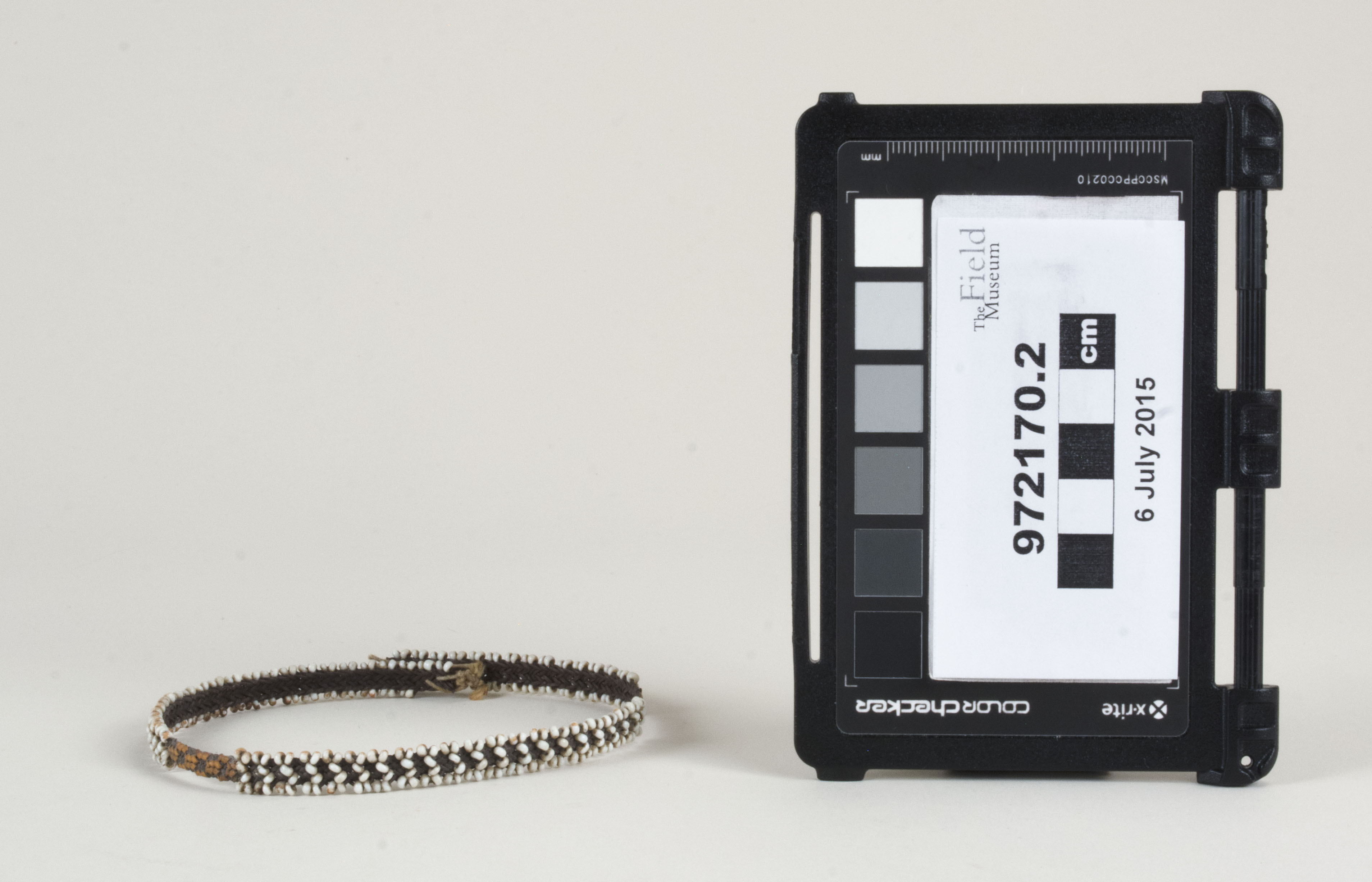 Front view (c) Field Museum of Natural History - CC BY-NC 4.0