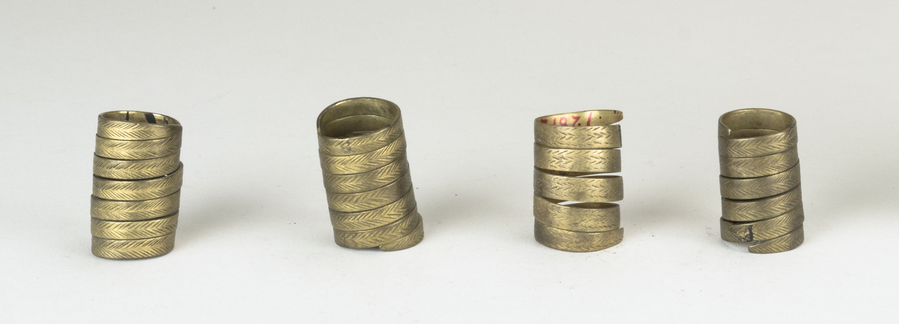 Front view without scale (c) Field Museum of Natural History - CC BY-NC 4.0