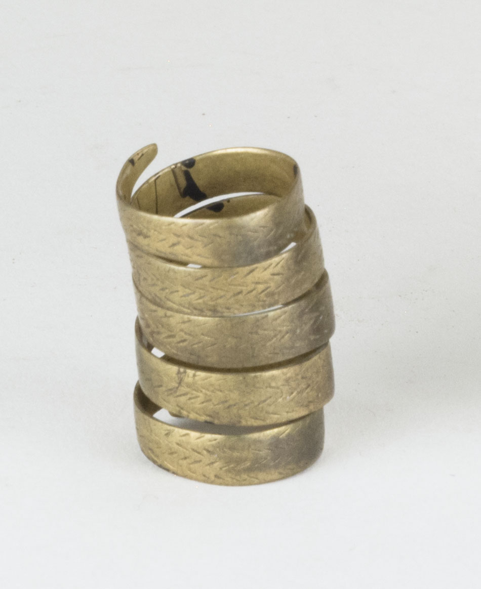 Front view without scale (c) Field Museum of Natural History - CC BY-NC 4.0