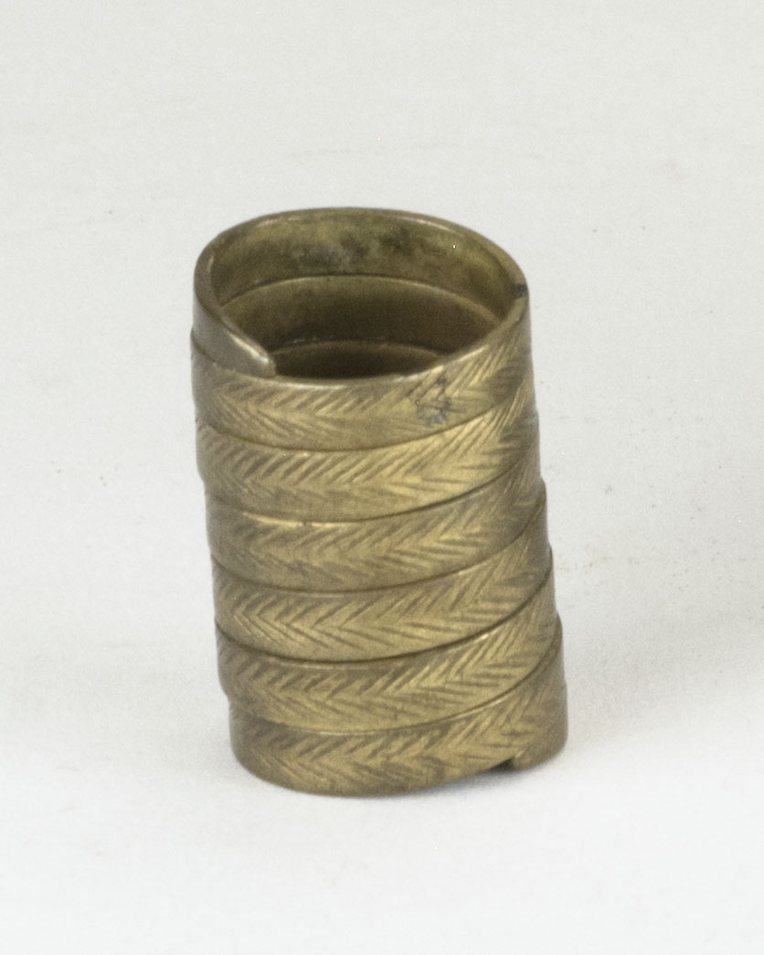 Front view without scale (c) Field Museum of Natural History - CC BY-NC 4.0