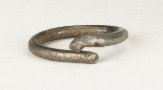 Front view without scale (c) Field Museum of Natural History - CC BY-NC 4.0