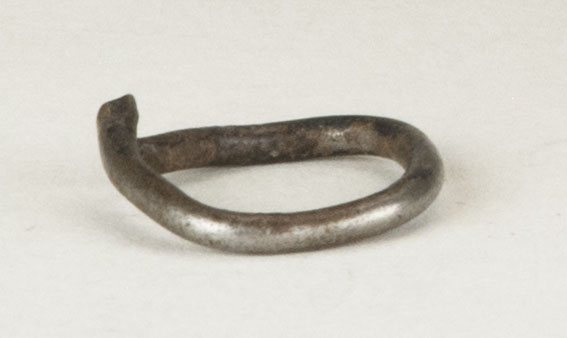 Front view without scale (c) Field Museum of Natural History - CC BY-NC 4.0