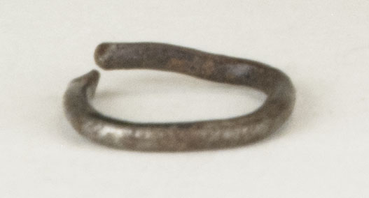 Front view without scale (c) Field Museum of Natural History - CC BY-NC 4.0