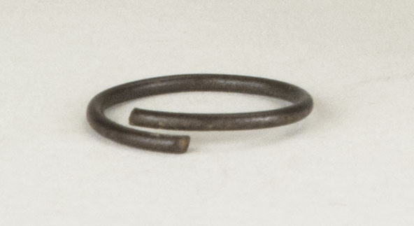 Front view without scale (c) Field Museum of Natural History - CC BY-NC 4.0