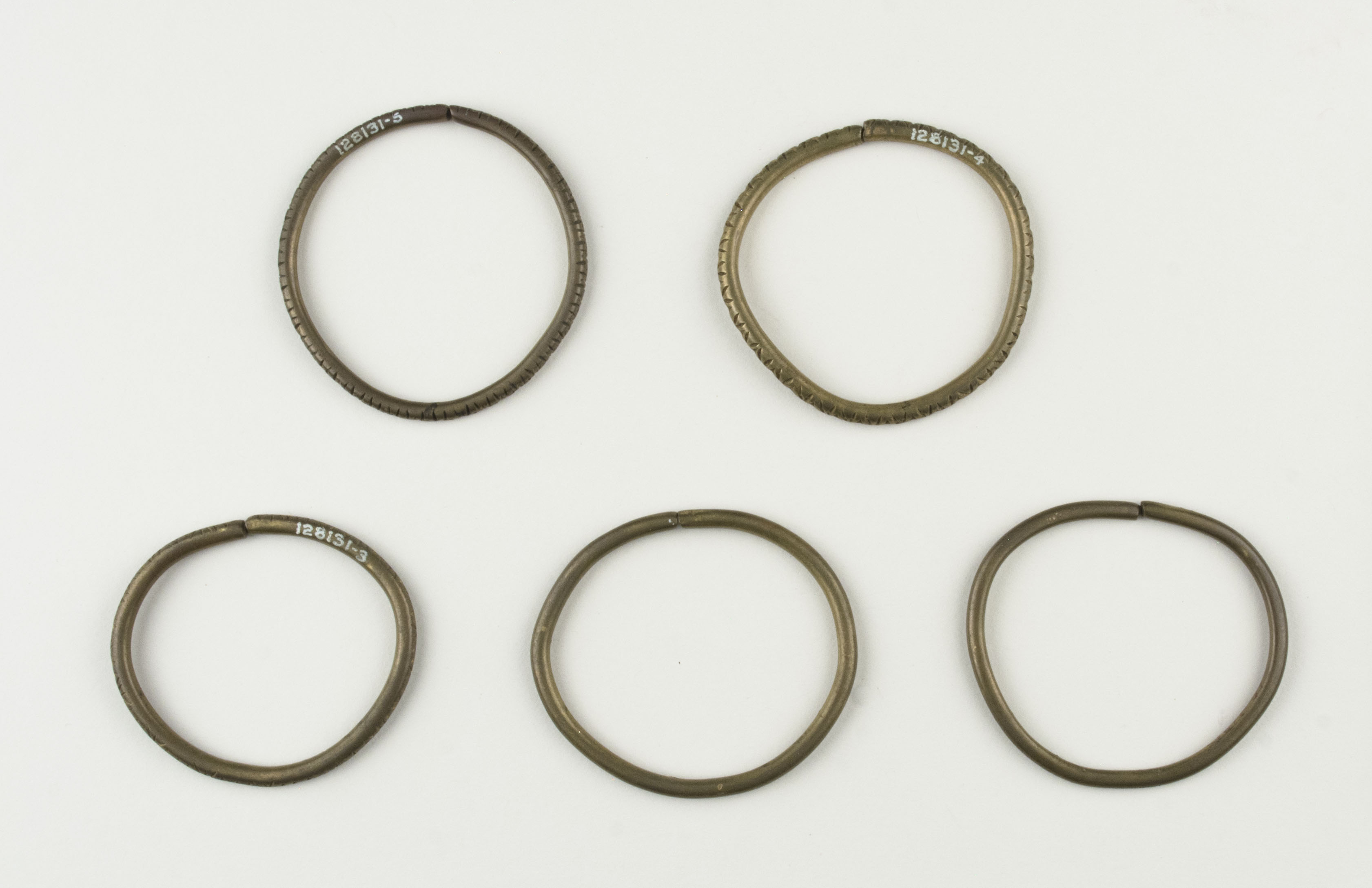 Top view without scale (c) Field Museum of Natural History - CC BY-NC 4.0