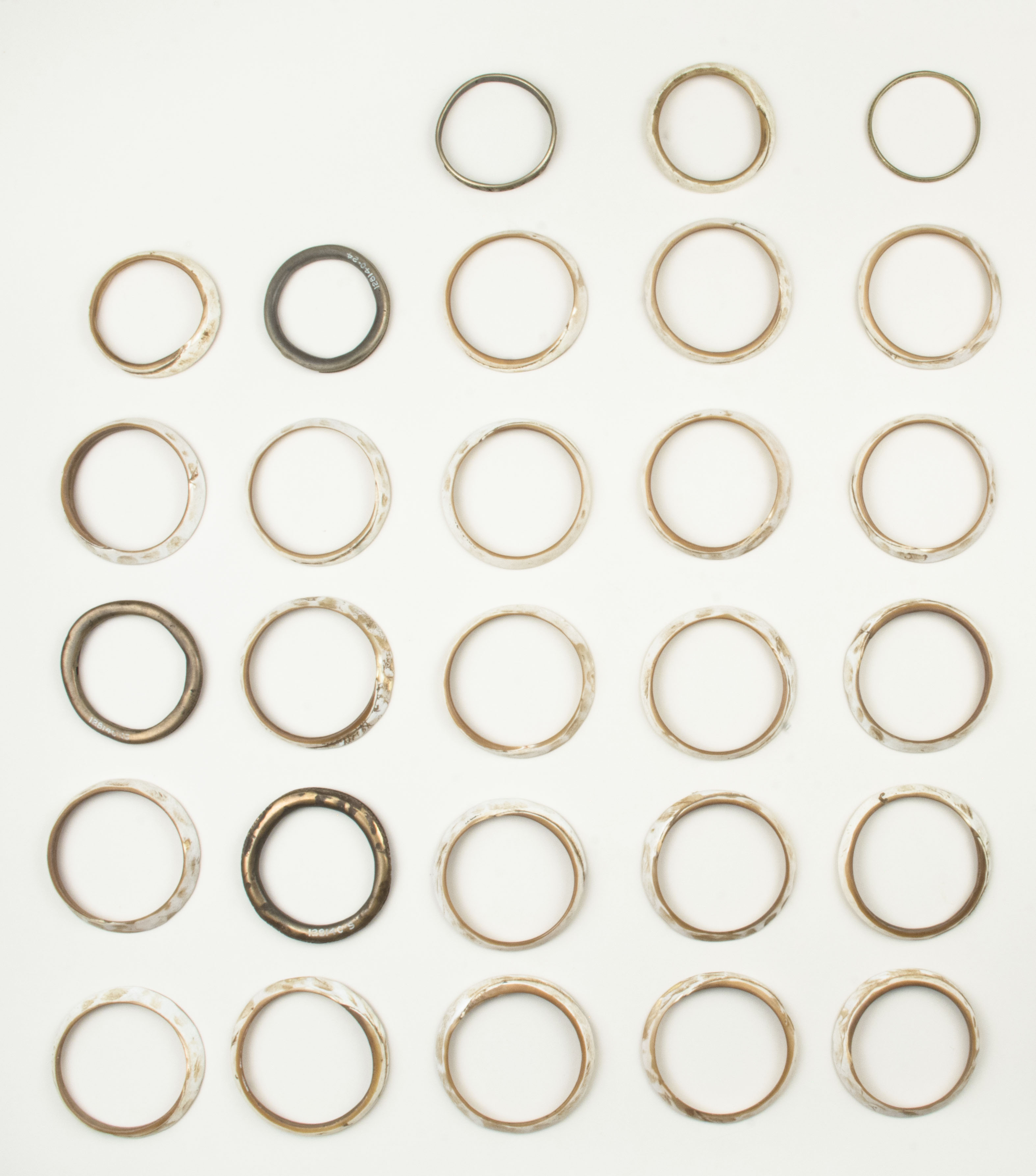 Top view without scale (c) Field Museum of Natural History - CC BY-NC 4.0