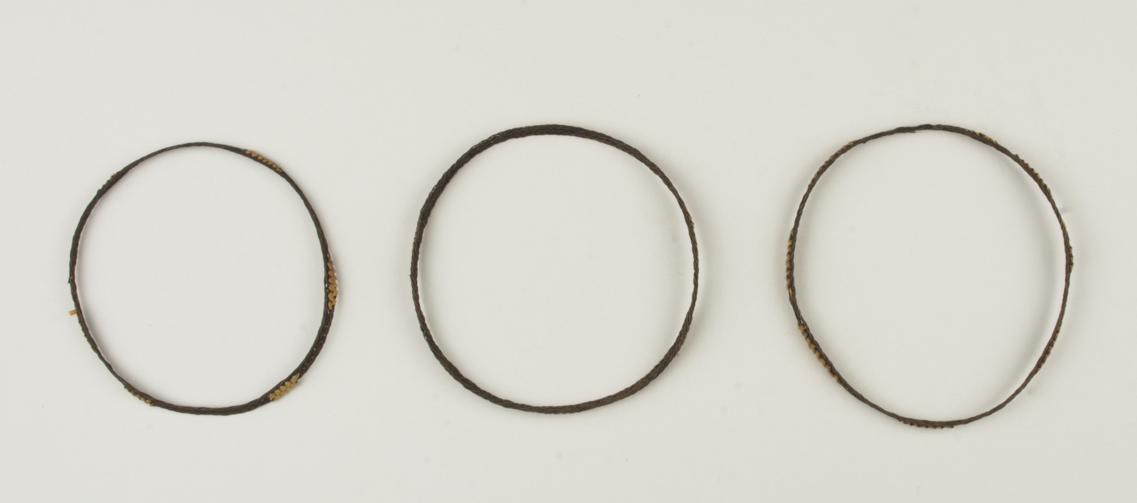 Top view without scale (c) Field Museum of Natural History - CC BY-NC 4.0