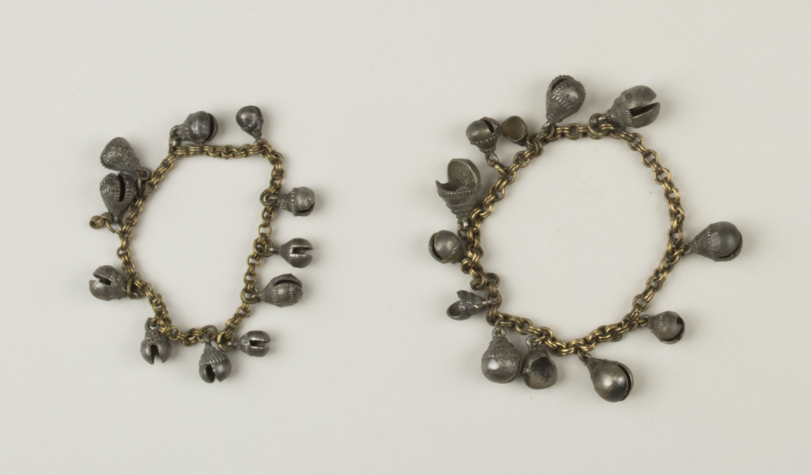 Top view without scale (c) Field Museum of Natural History - CC BY-NC 4.0